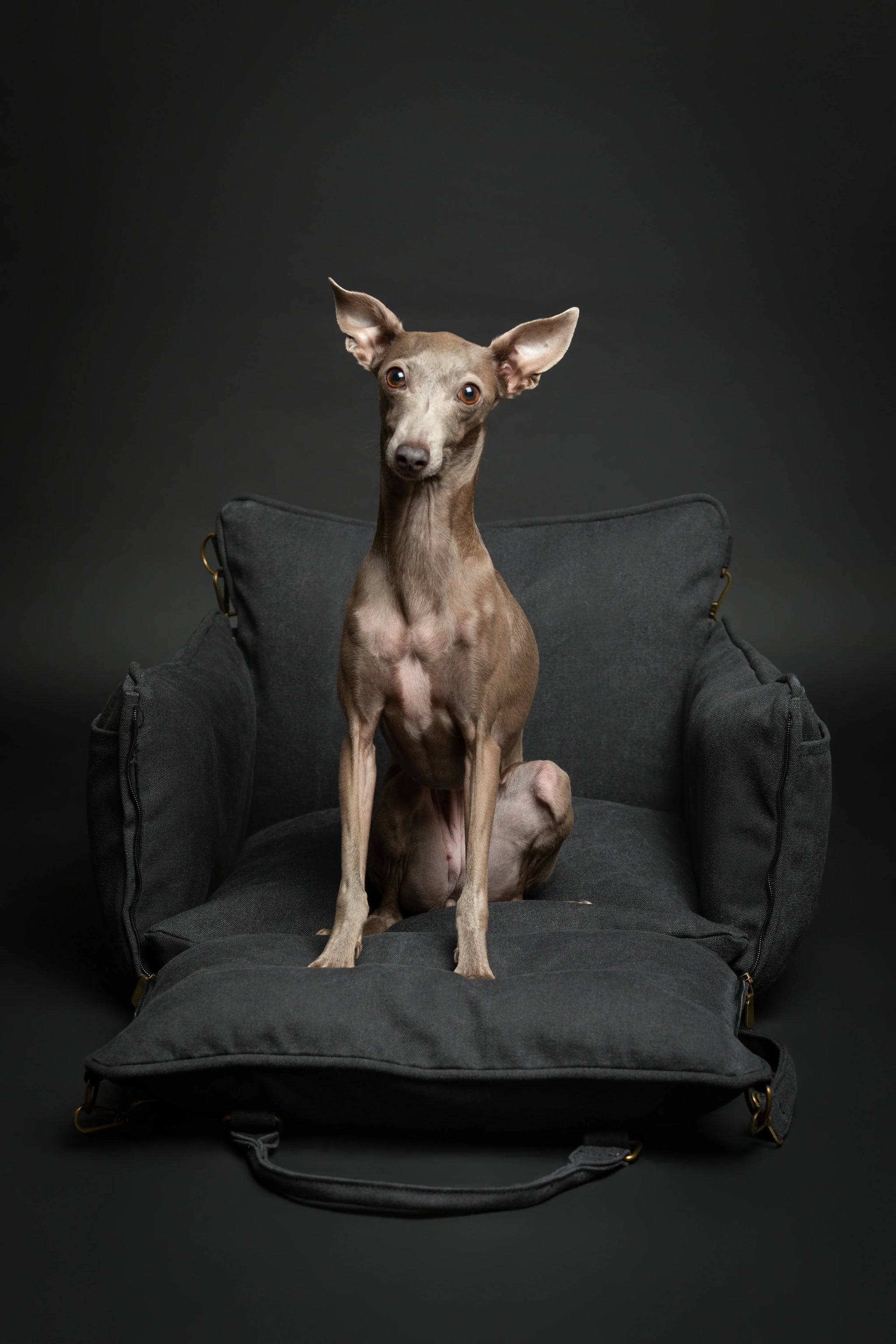 Dog Car Seat Carrier Orthopedic Crushed Foam, Charcoal, Canvas