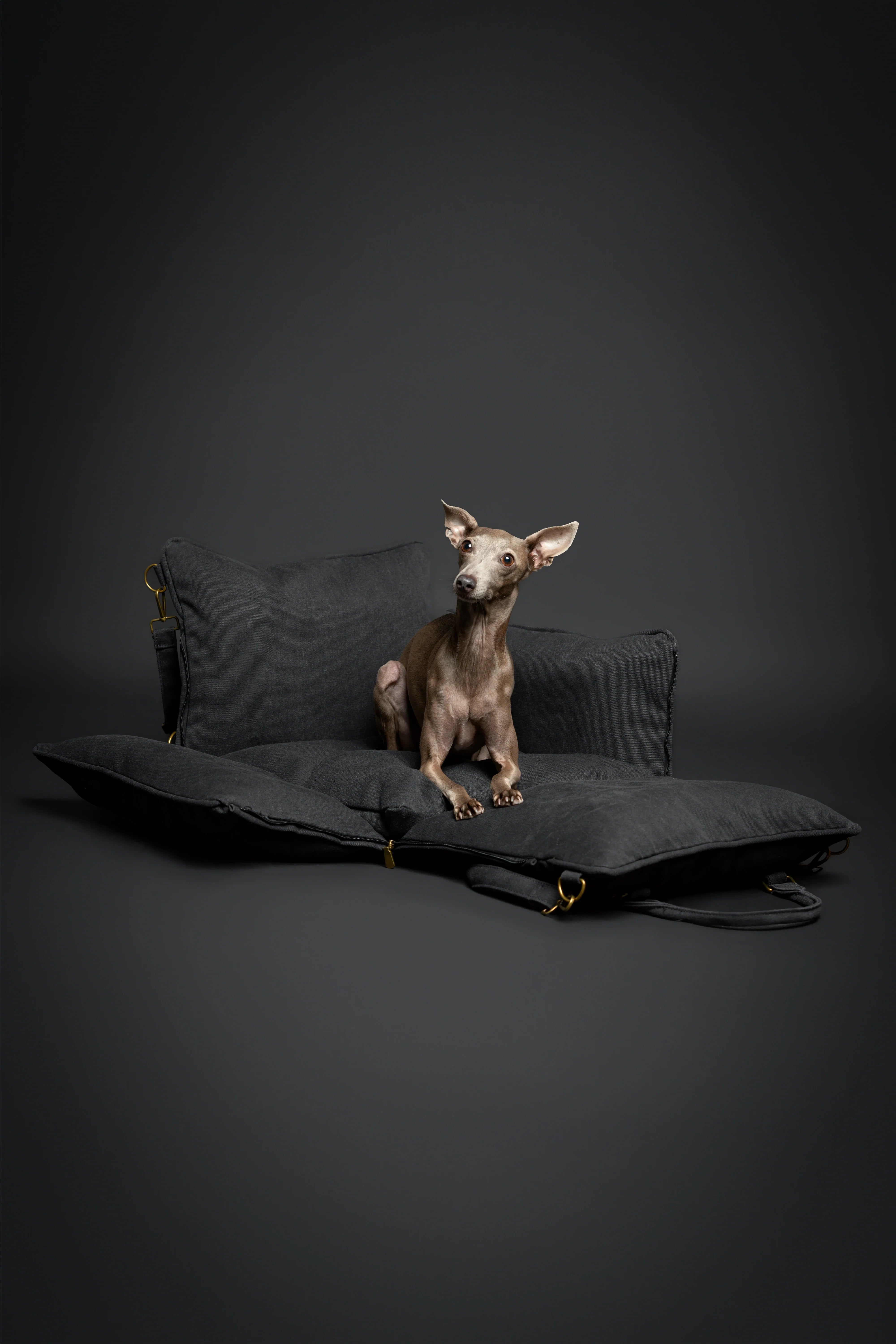 Dog Car Seat Carrier Orthopedic Crushed Foam, Charcoal, Canvas