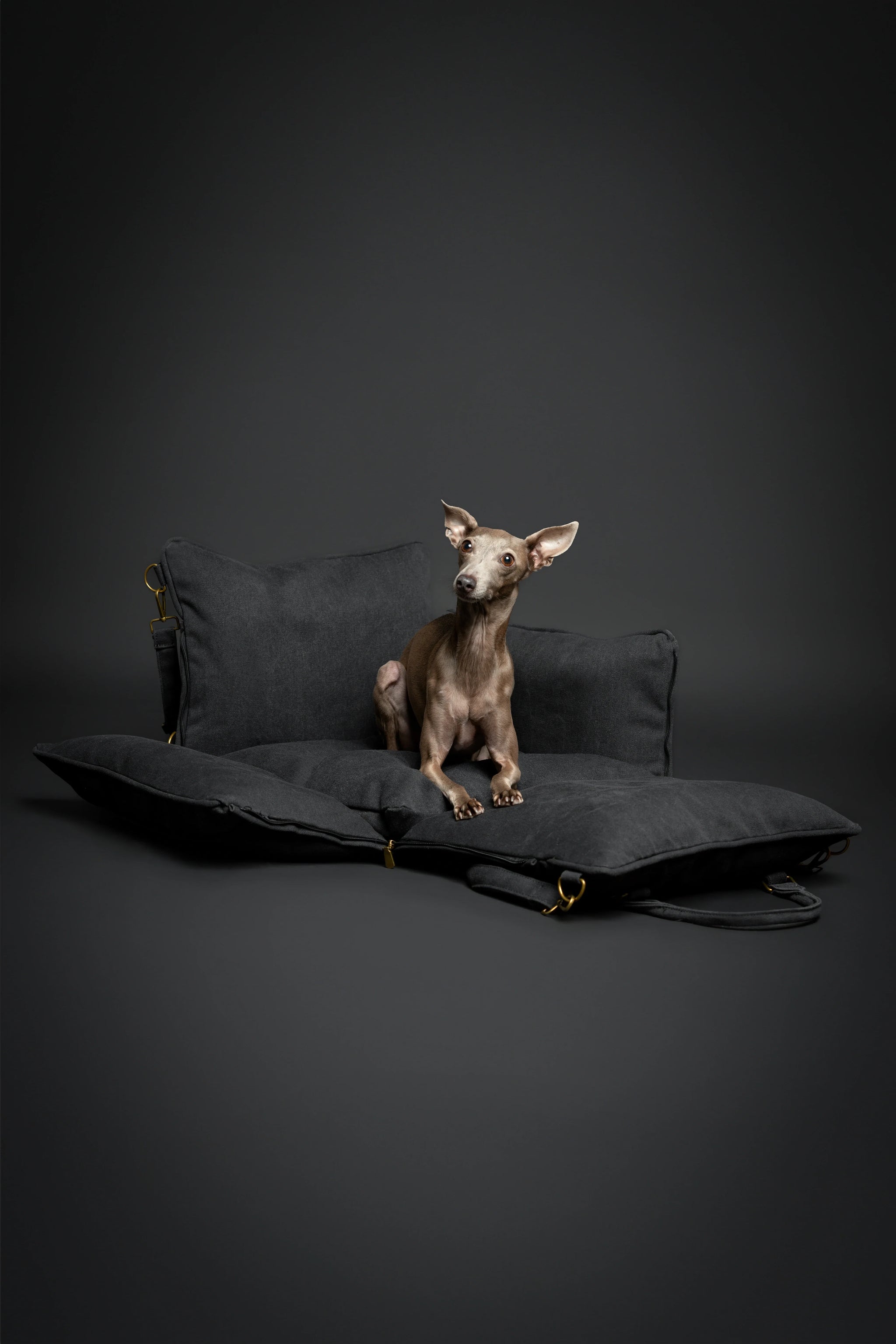 Dog Car Seat Carrier Orthopedic Crushed Foam, Charcoal, Canvas