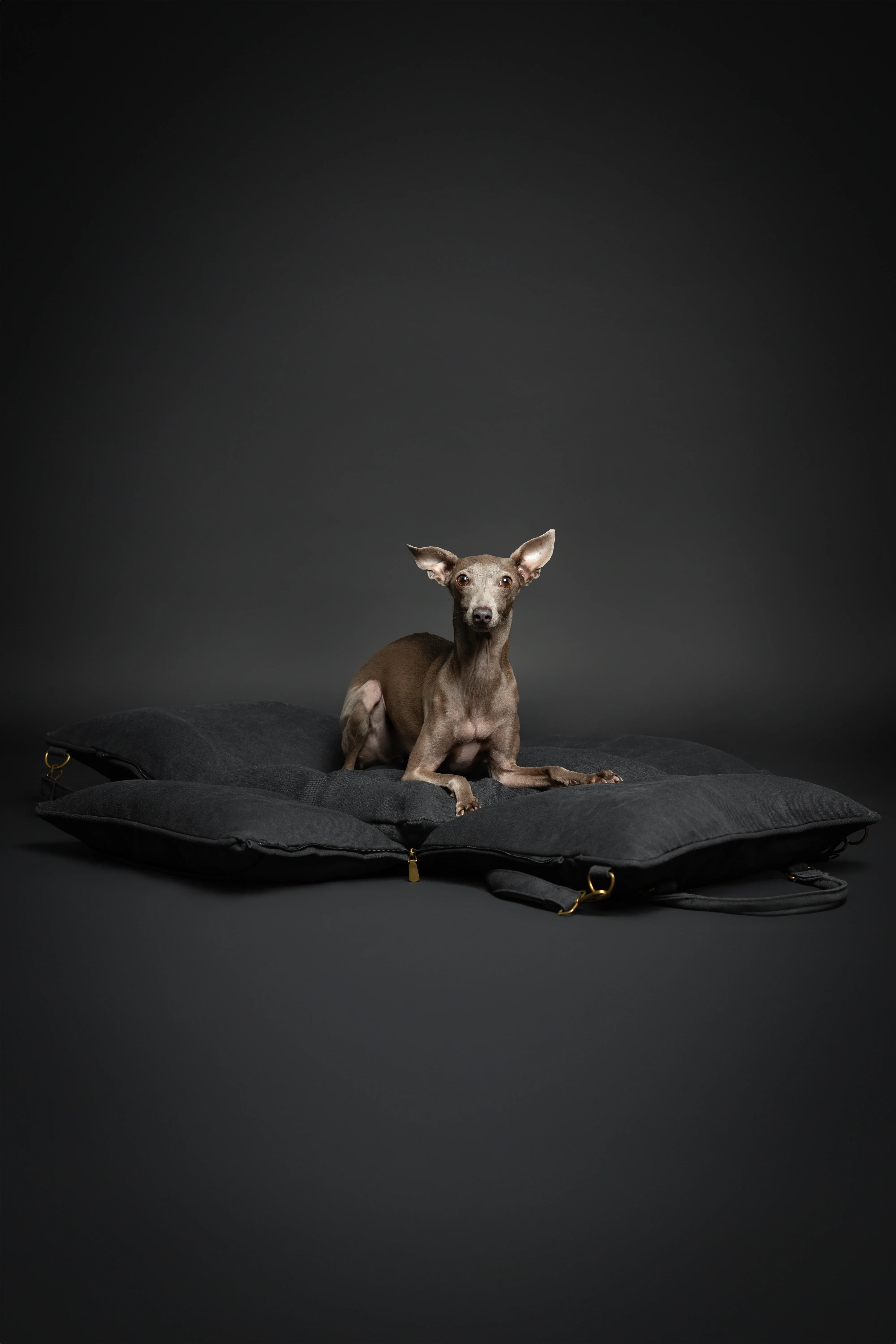 Dog Car Seat Carrier Orthopedic Crushed Foam, Charcoal, Canvas