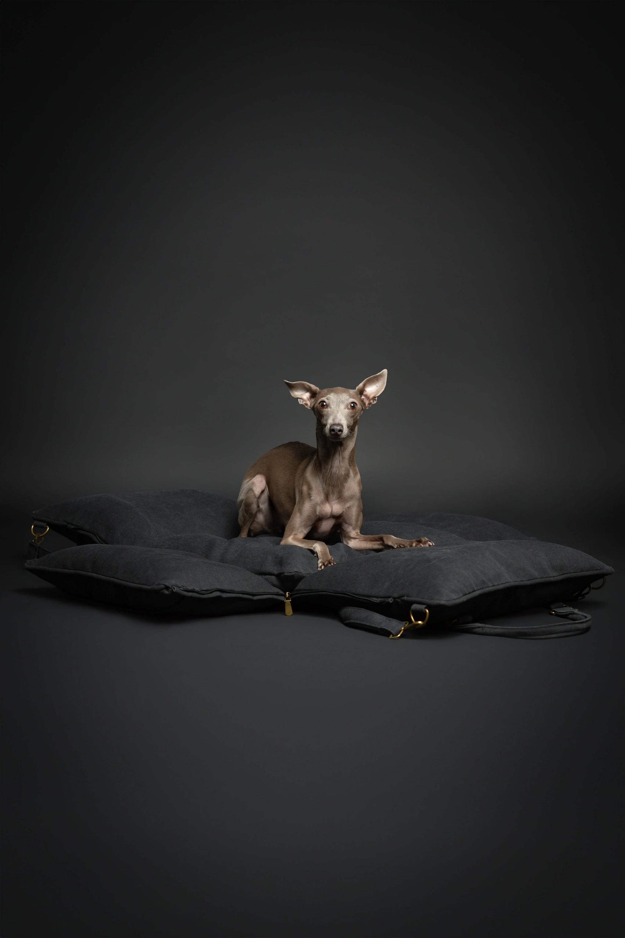 Dog Car Seat Carrier Orthopedic Crushed Foam, Charcoal, Canvas