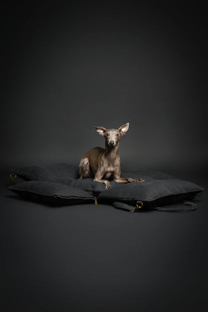 Dog Car Seat Carrier Orthopedic Crushed Foam, Charcoal, Canvas