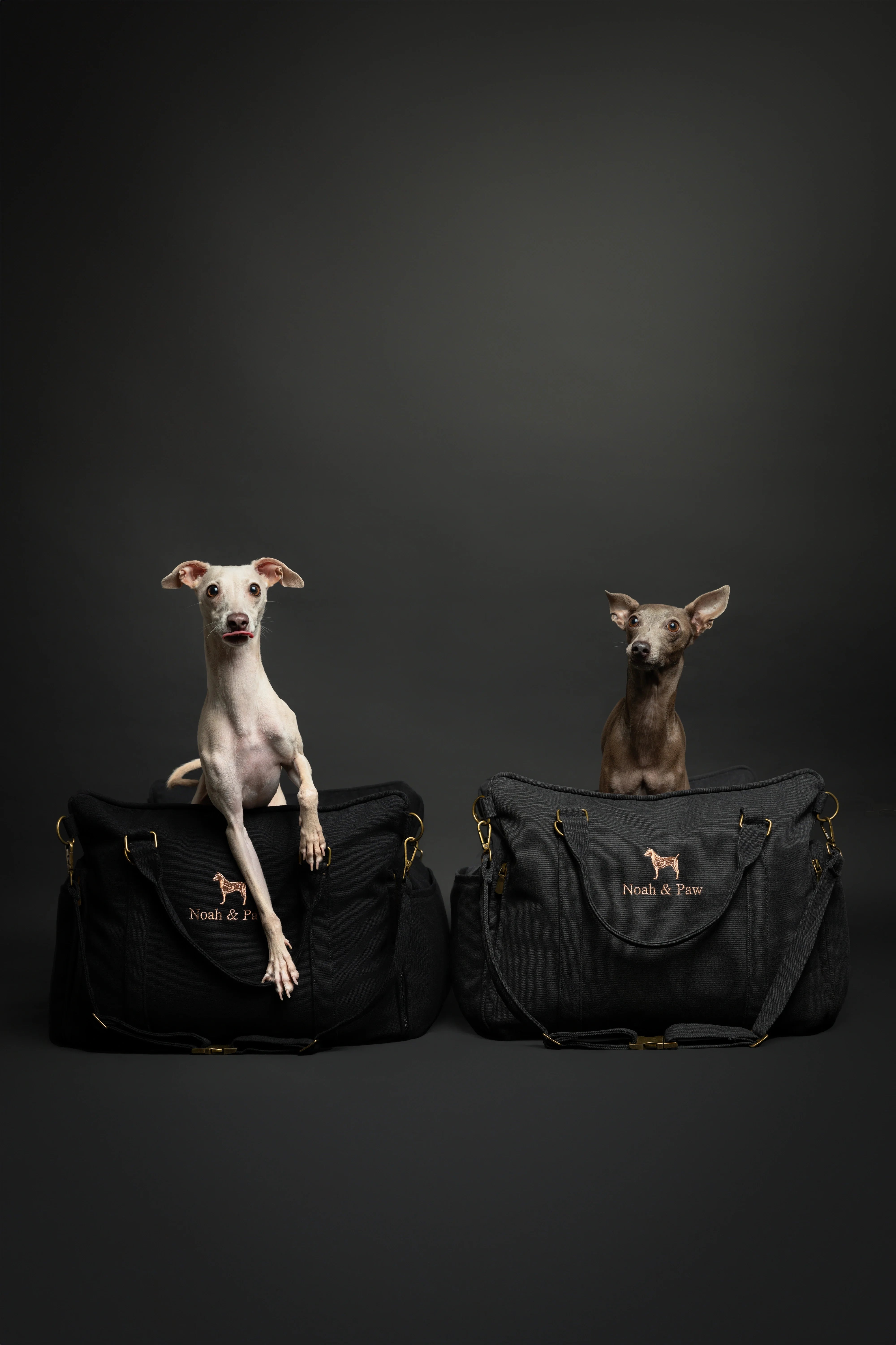 Dog Car Seat Carrier Orthopedic Crushed Foam, Charcoal, Canvas