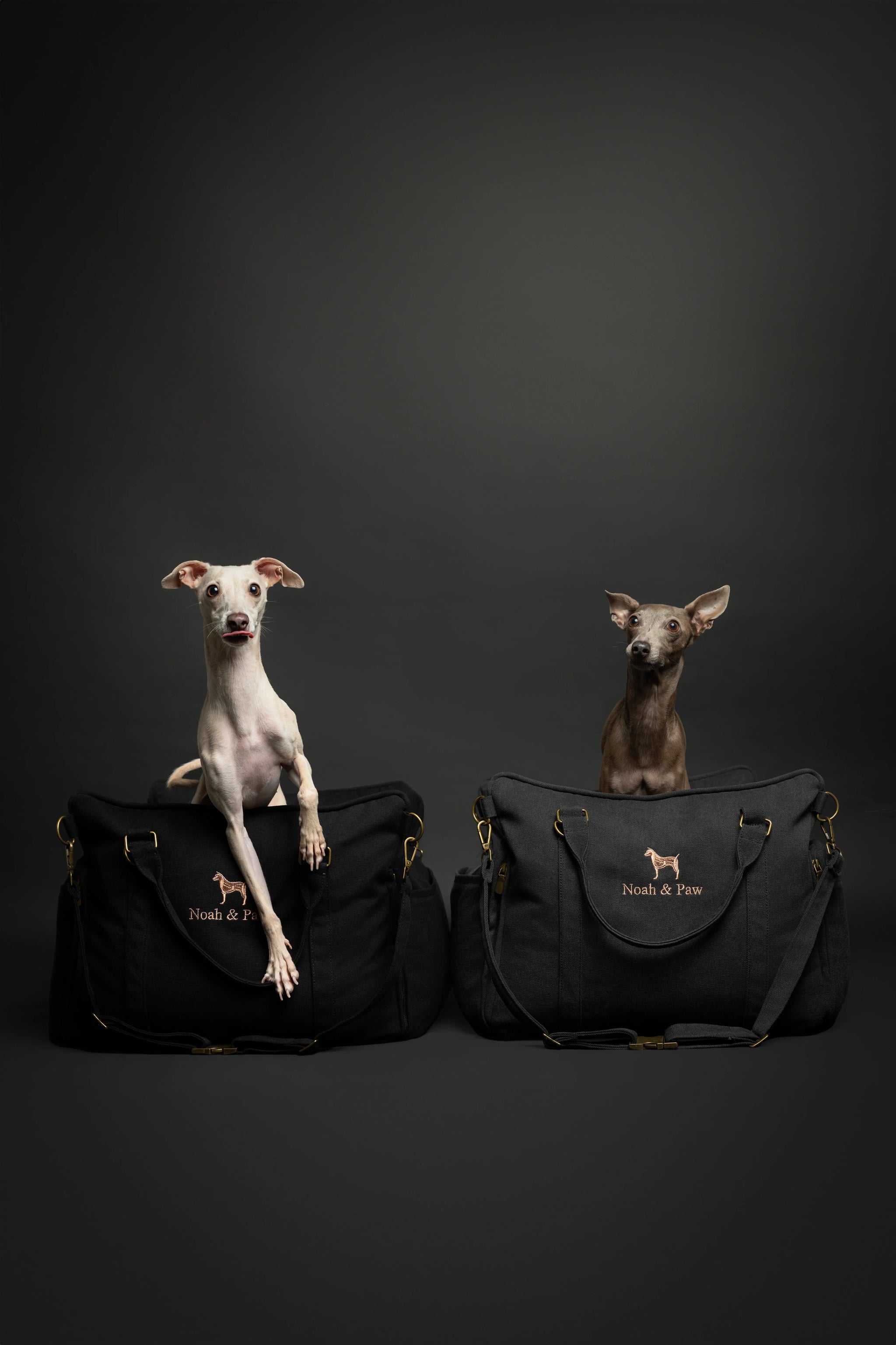 Dog Car Seat Carrier Orthopedic Crushed Foam, Charcoal, Canvas