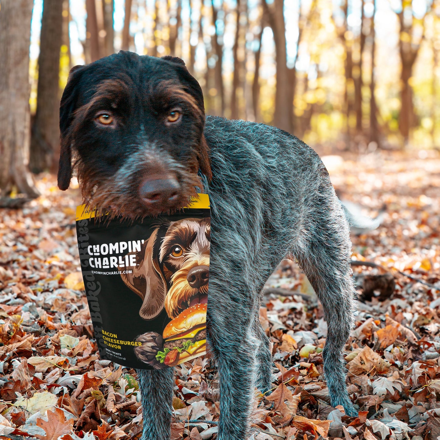 Bacon Cheeseburger Flavor Dog Treats