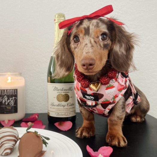 ChocoBerry Bliss Walking Set