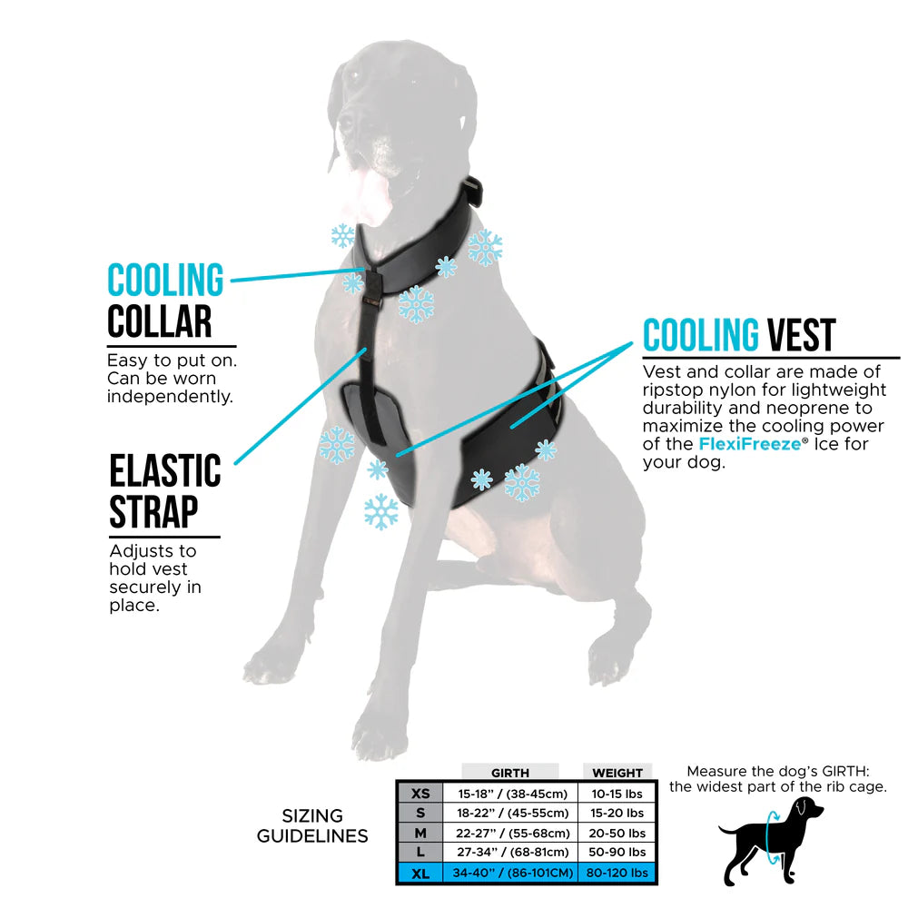 CoolerDog Dog Cooling Vest and Collar
