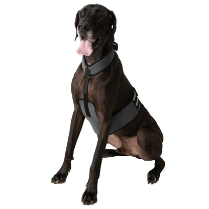 CoolerDog Dog Cooling Vest and Collar