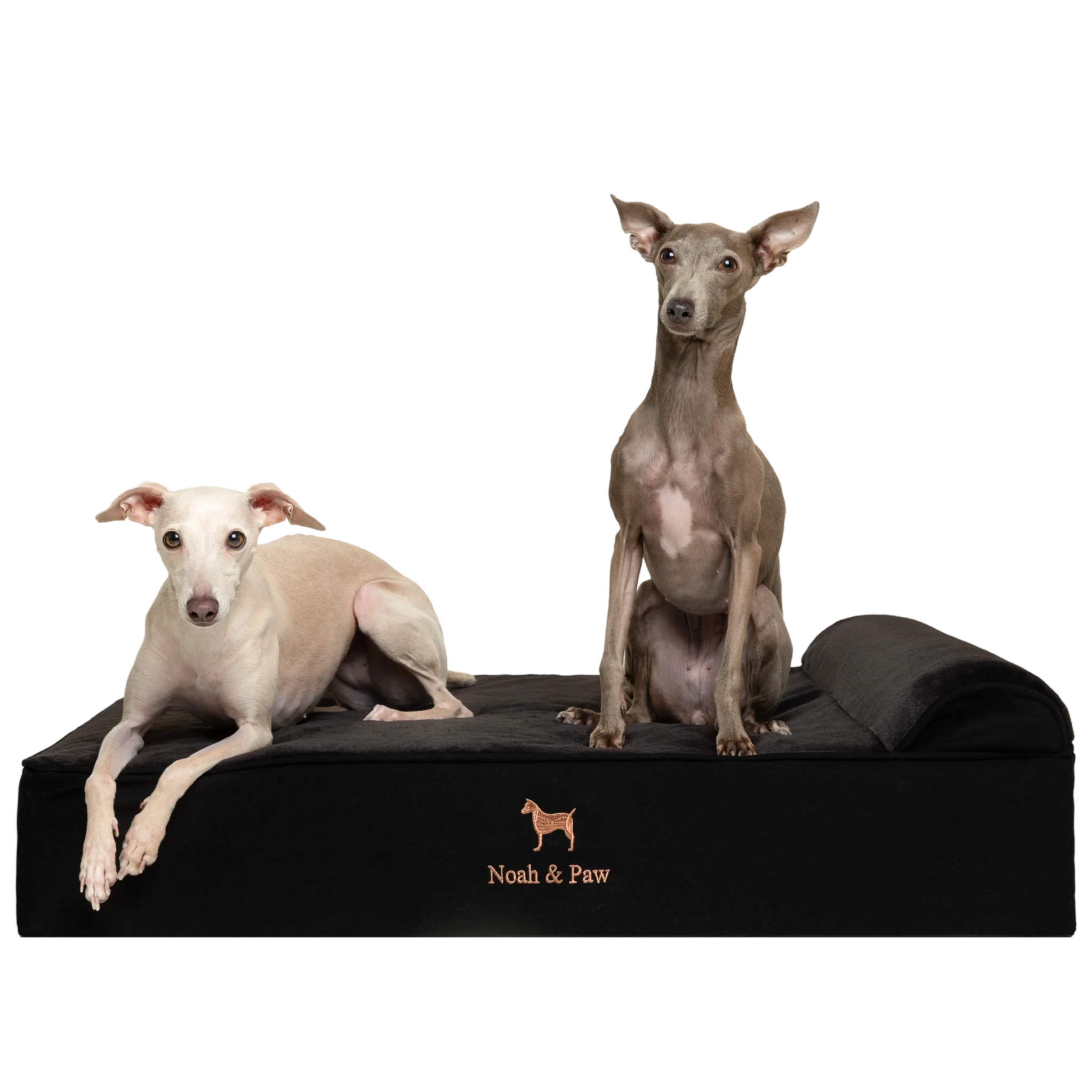 Denim, Orthopedic Pet Bed, Classic Style - Black - L