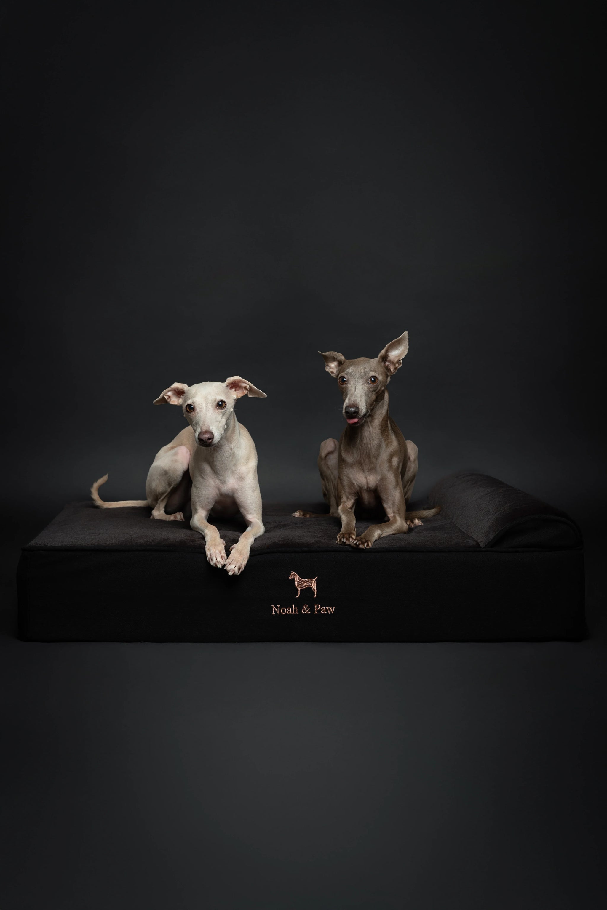 Denim Orthopedic Pet Bed, Memory Foam, Infused with Cooling Gel - Classic