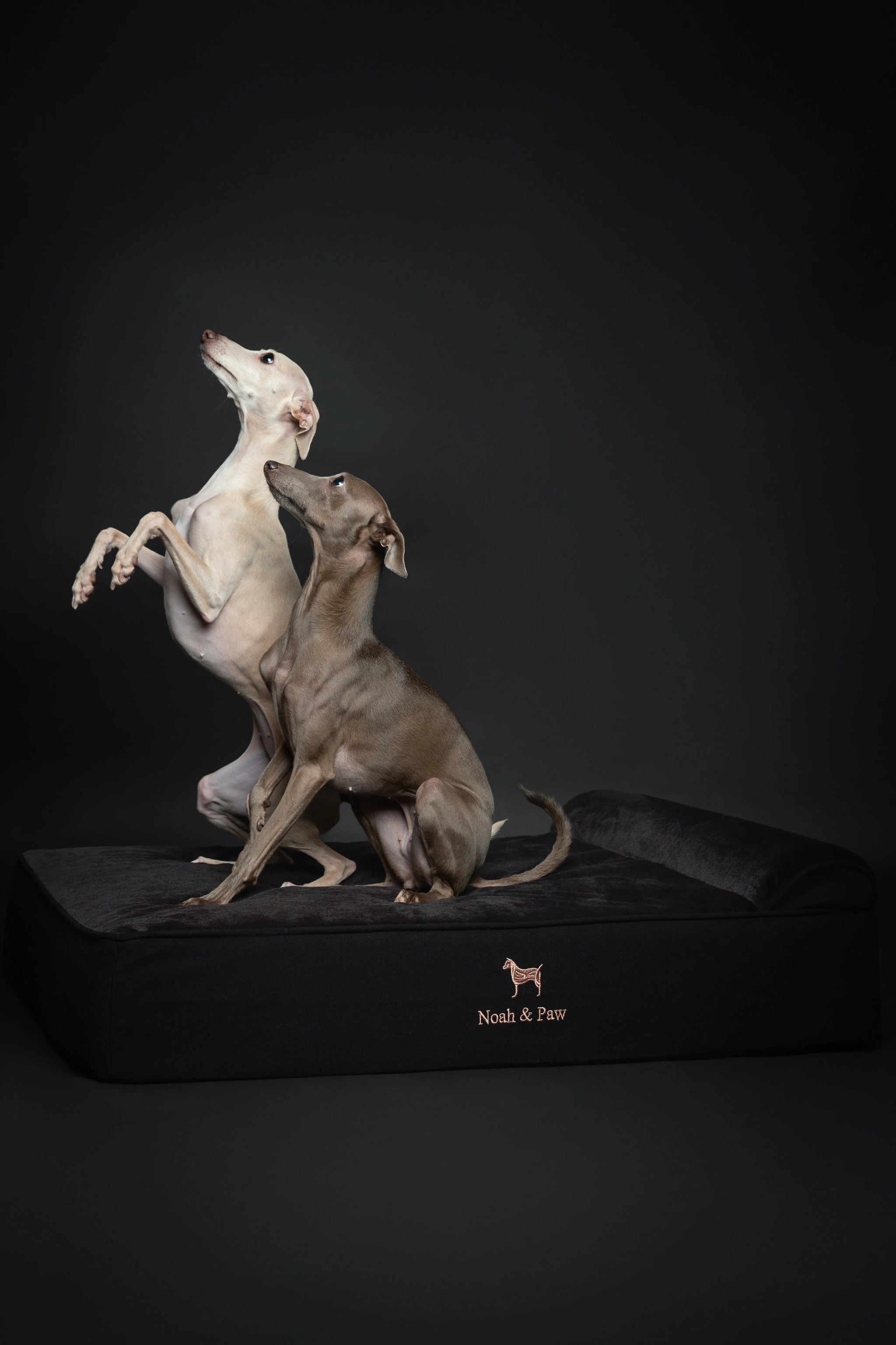 Denim Orthopedic Pet Bed, Memory Foam, Infused with Cooling Gel - Classic