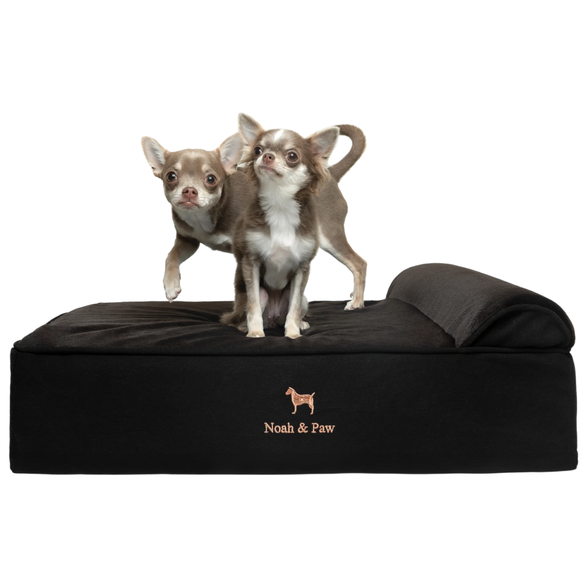 Denim, Orthopedic Pet Bed, Classic Style - Black - M