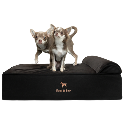Denim, Orthopedic Pet Bed, Classic Style - Black - M