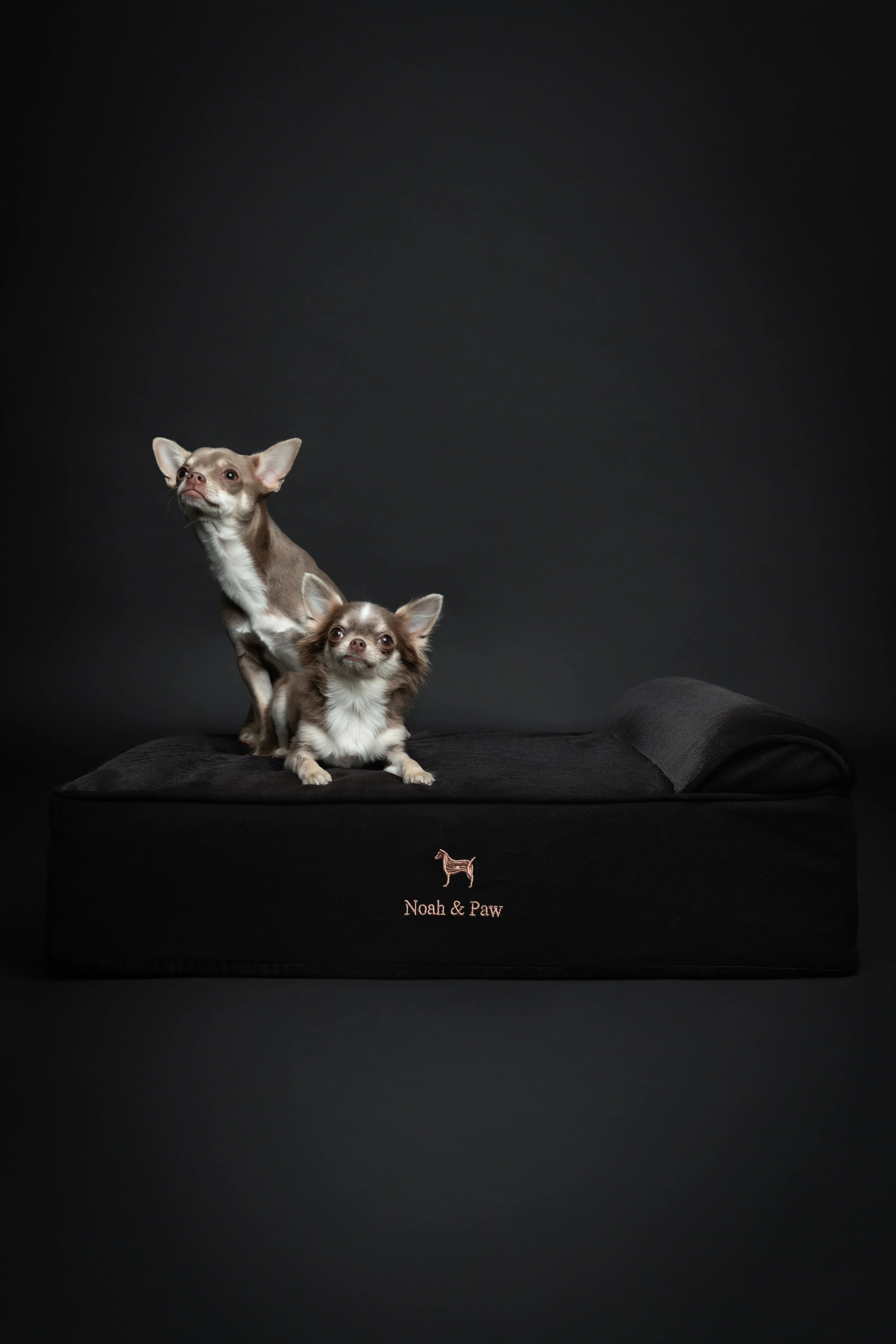 Denim Orthopedic Pet Bed, Memory Foam, Infused with Cooling Gel - Classic