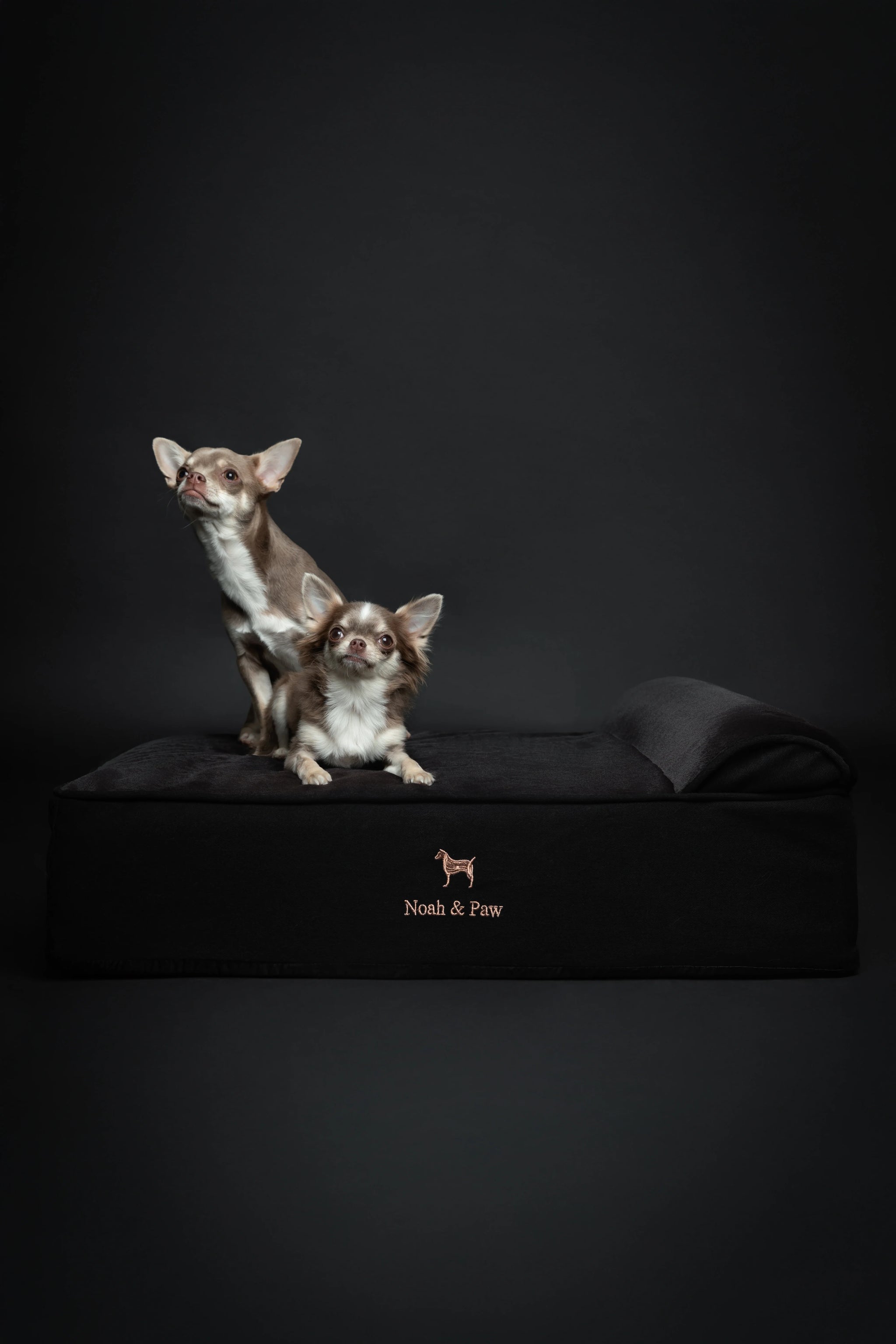 Denim Orthopedic Pet Bed, Memory Foam, Infused with Cooling Gel - Classic