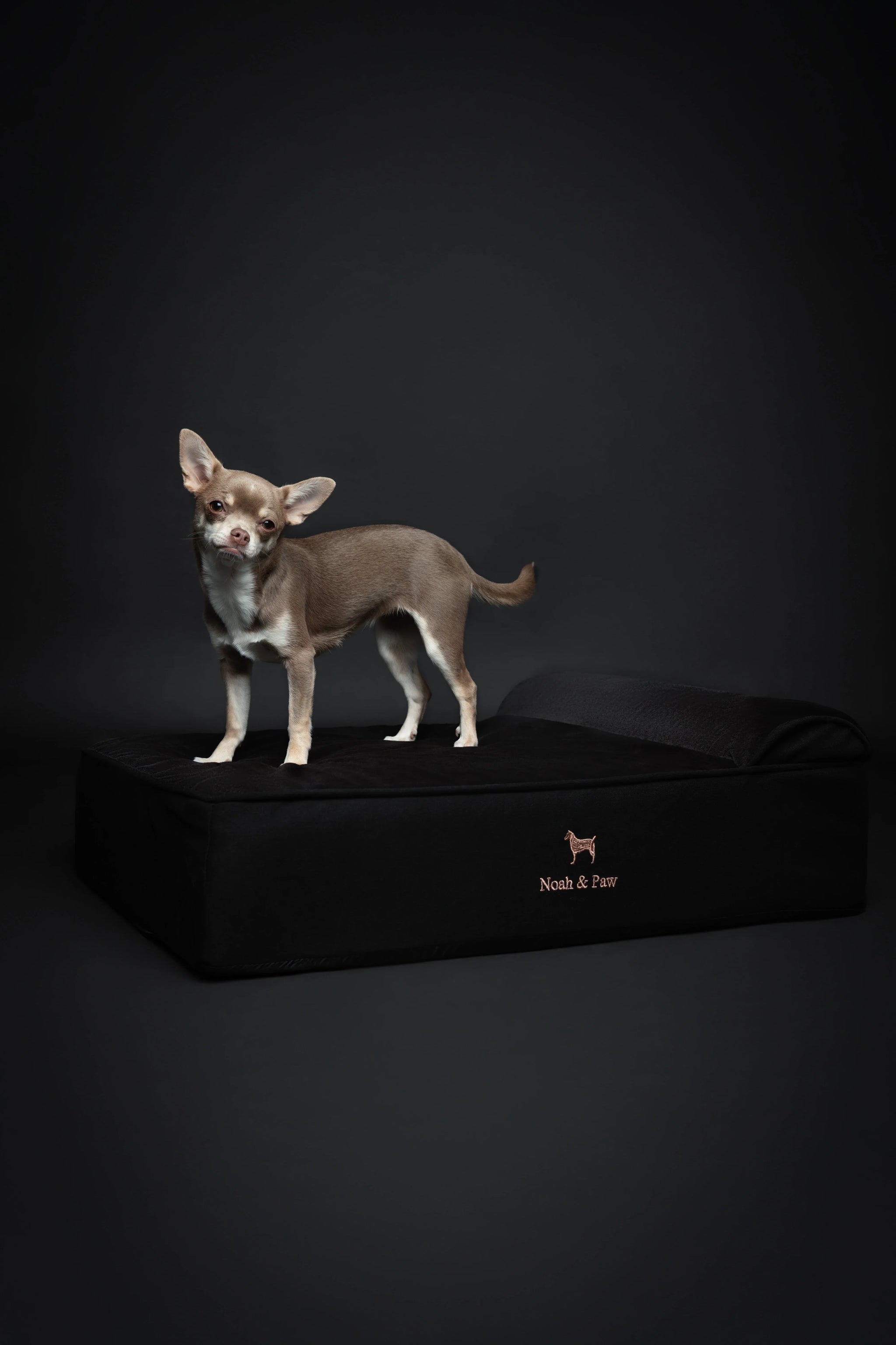 Denim Orthopedic Pet Bed, Memory Foam, Infused with Cooling Gel - Classic