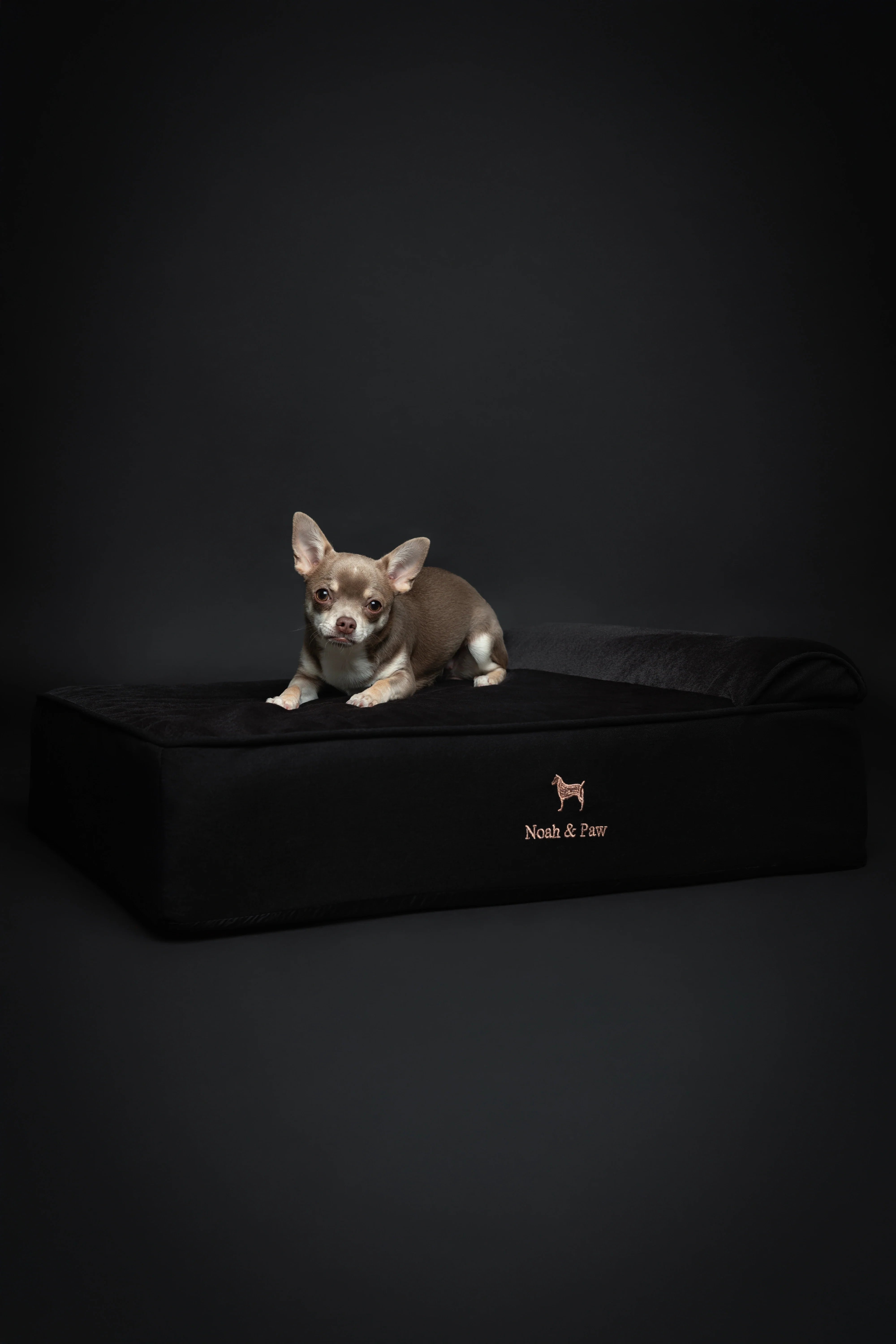 Denim Orthopedic Pet Bed, Memory Foam, Infused with Cooling Gel - Classic