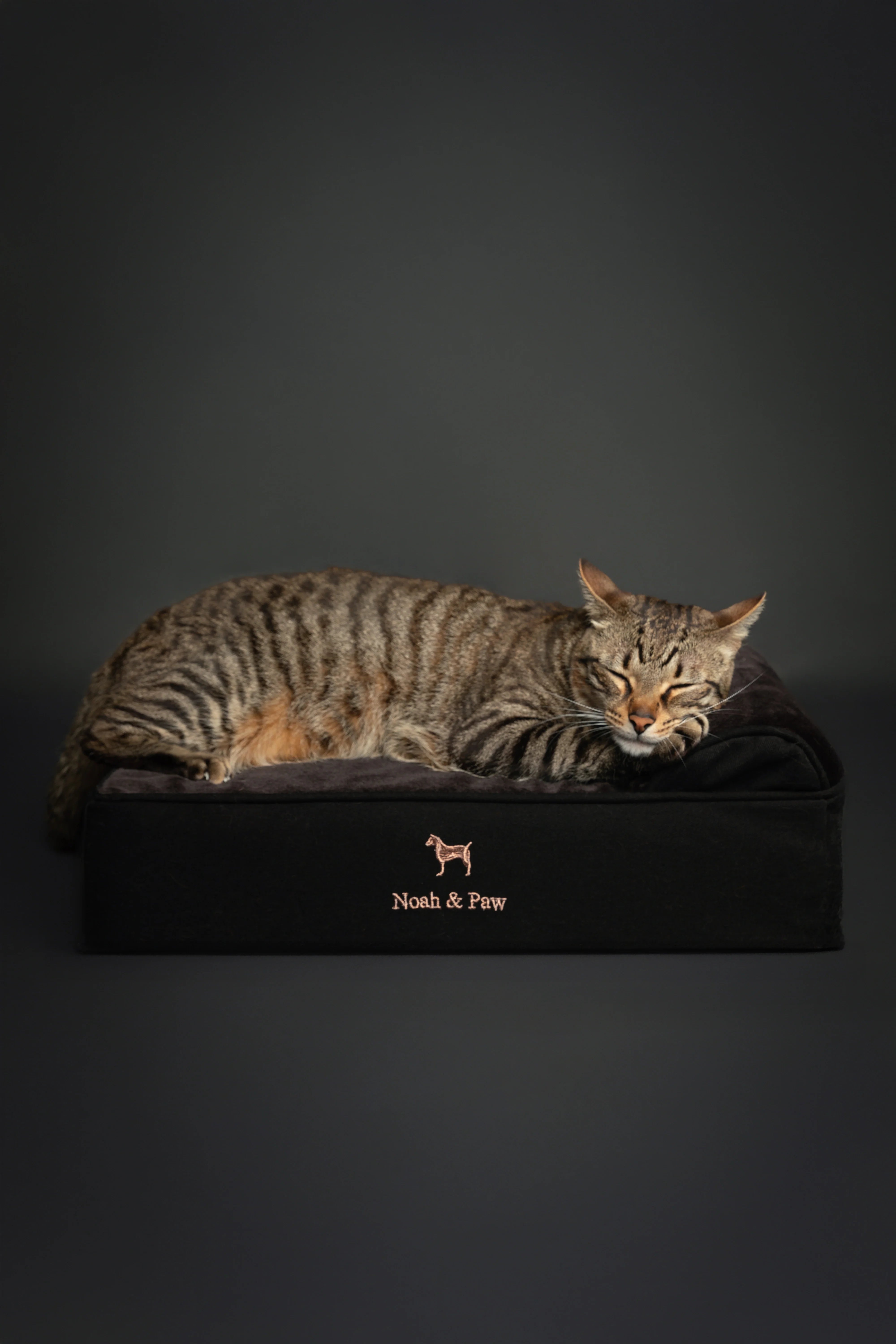 Denim Orthopedic Pet Bed, Memory Foam, Infused with Cooling Gel - Classic