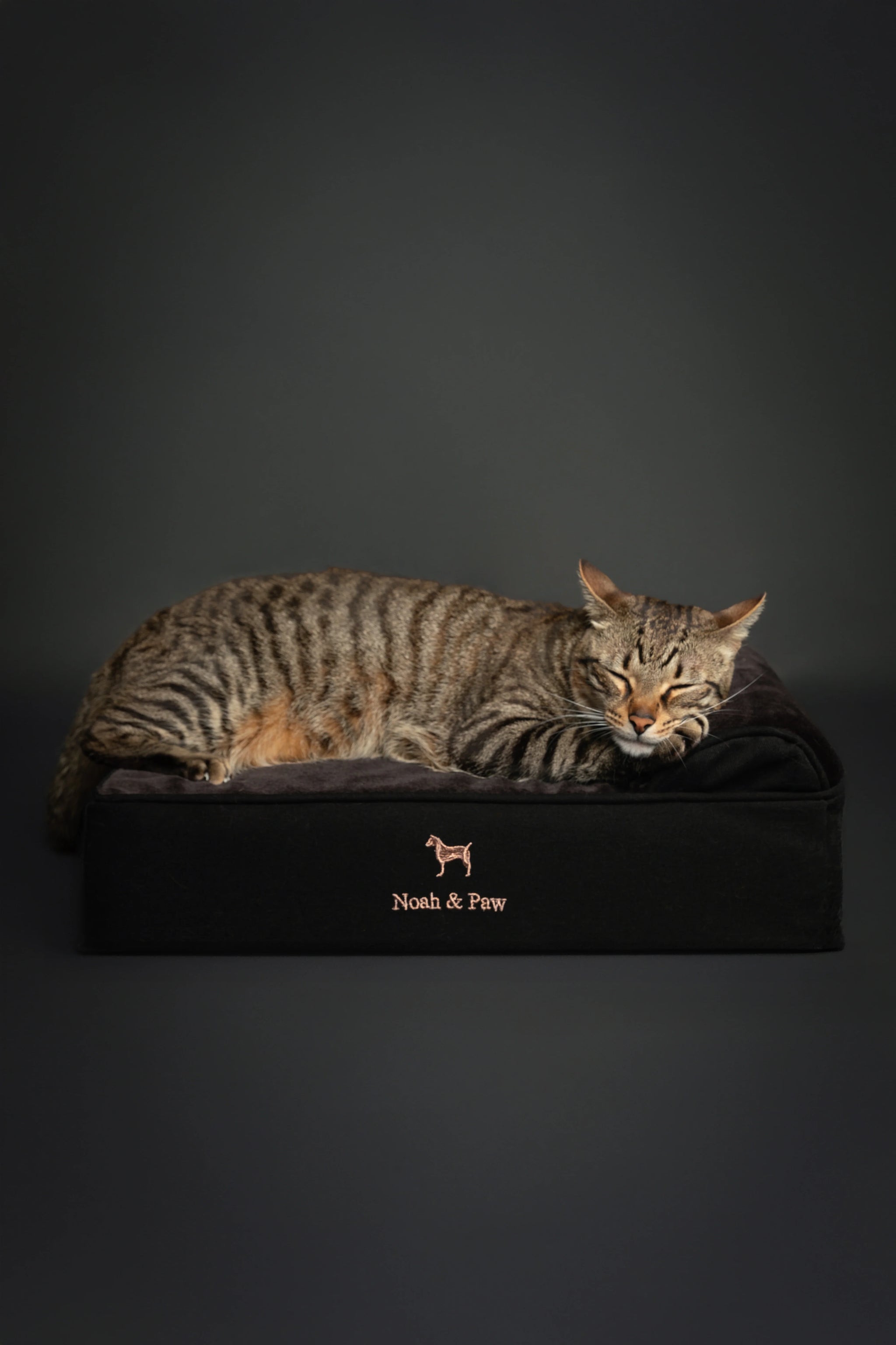 Denim Orthopedic Pet Bed, Memory Foam, Infused with Cooling Gel - Classic