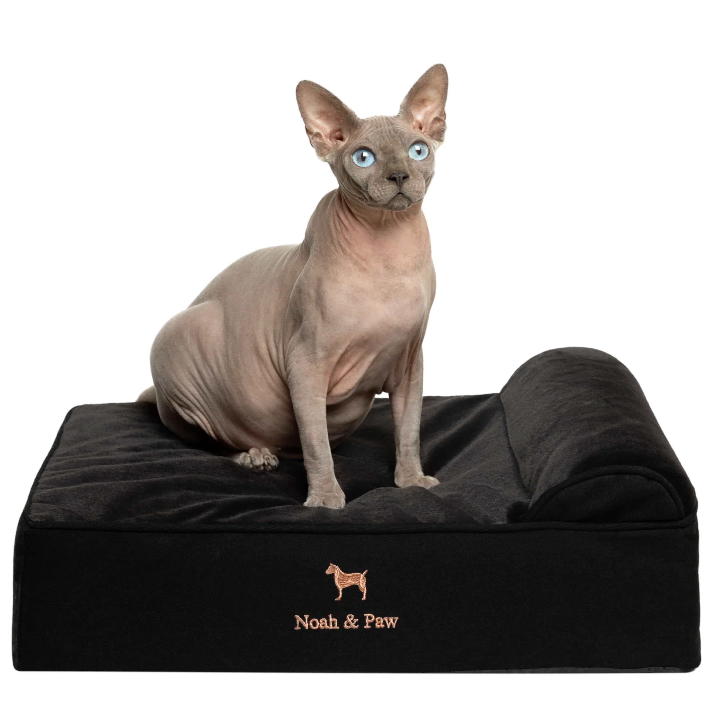 Denim, Orthopedic Pet Bed, Classic Style - Black - S