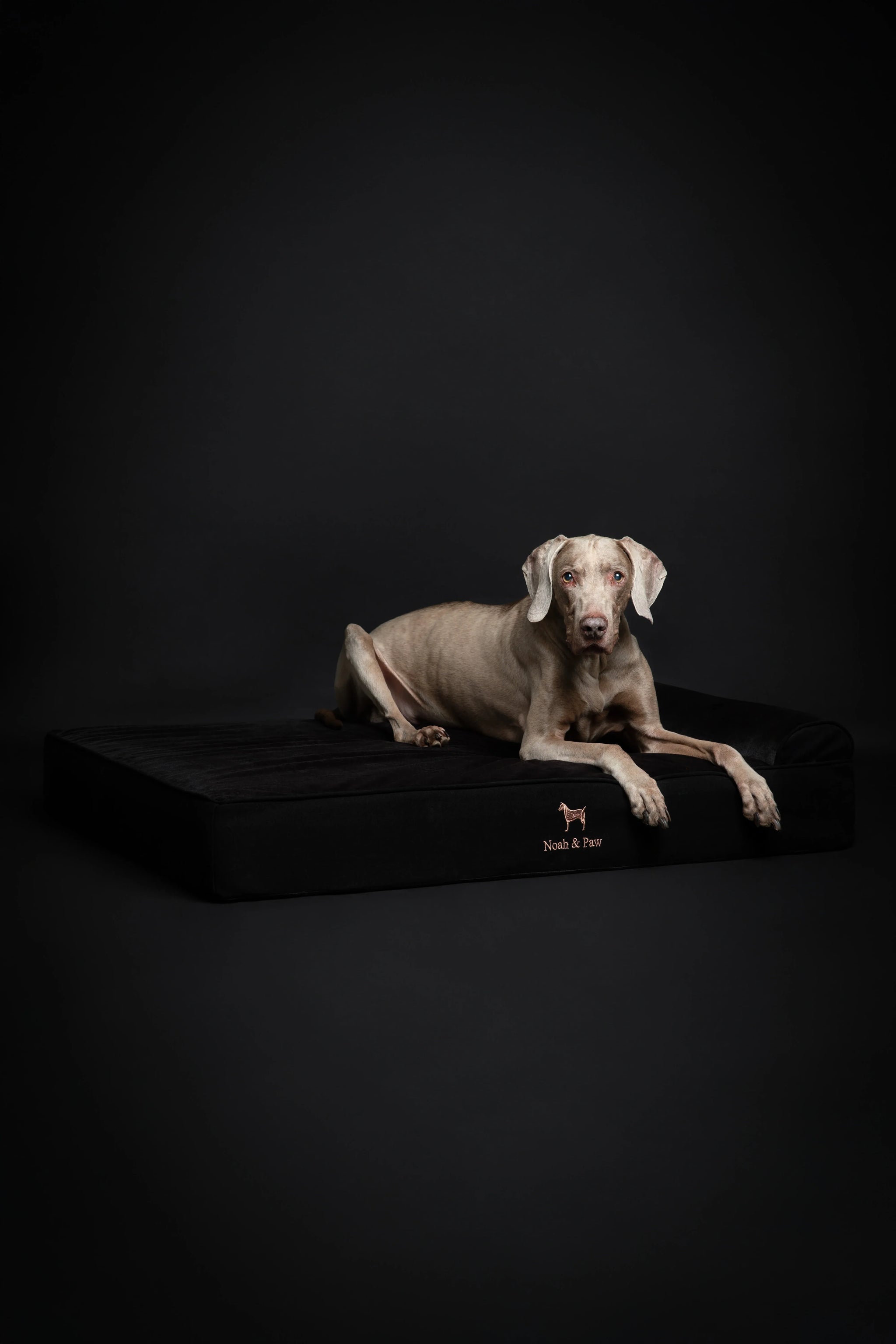 Denim Orthopedic Pet Bed, Memory Foam, Infused with Cooling Gel - Classic