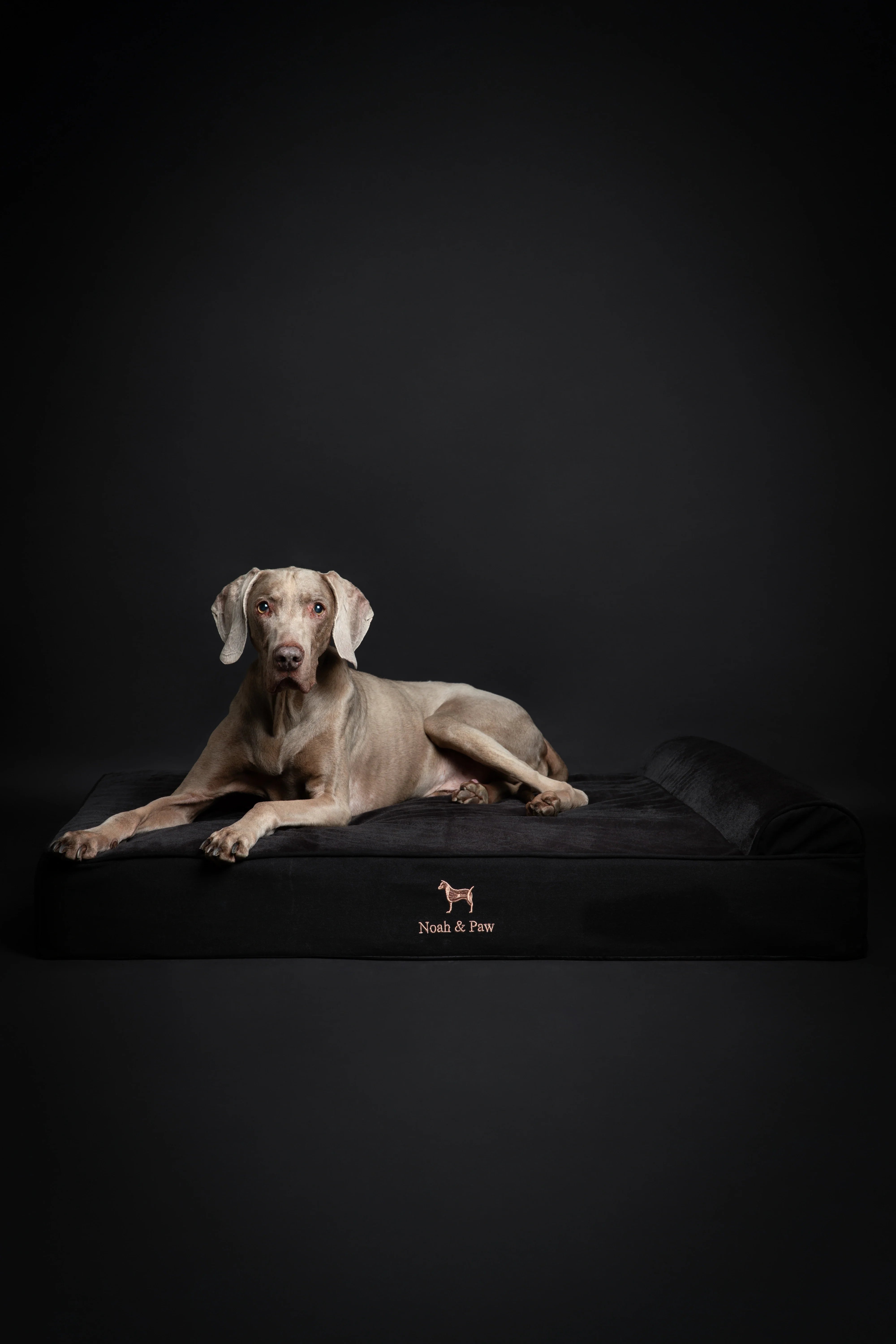Denim Orthopedic Pet Bed, Memory Foam, Infused with Cooling Gel - Classic