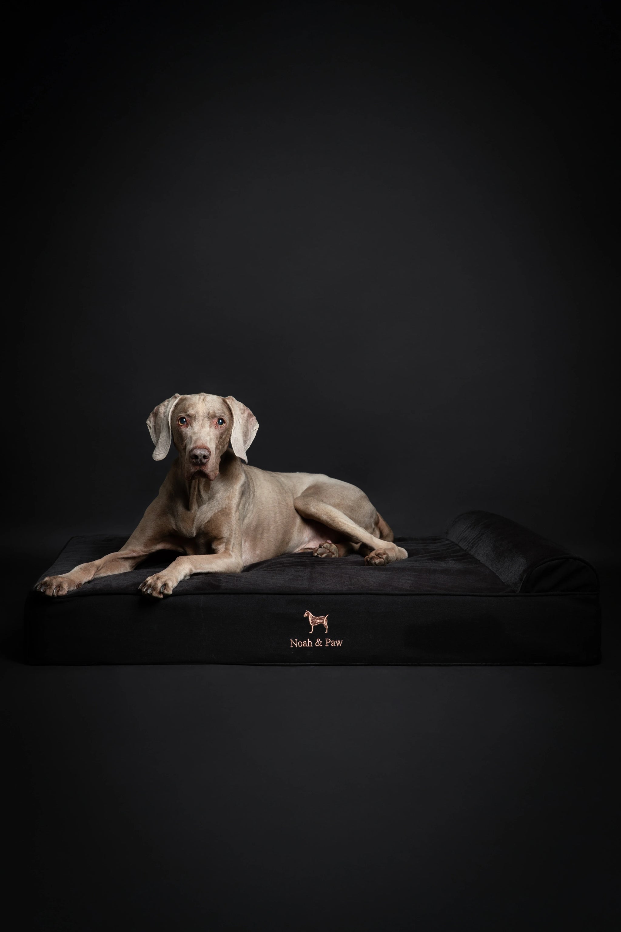 Denim Orthopedic Pet Bed, Memory Foam, Infused with Cooling Gel - Classic