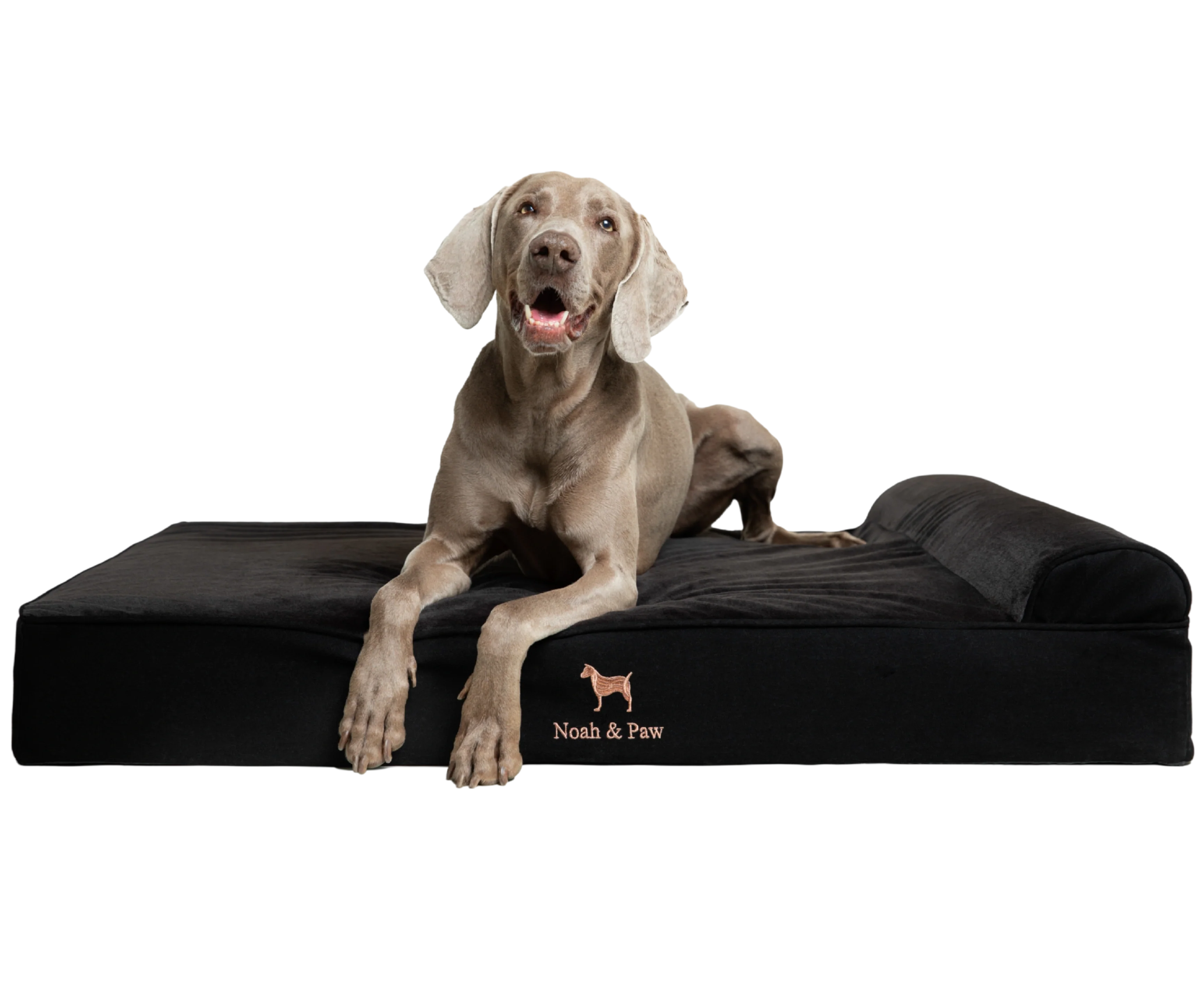 Denim, Orthopedic Pet Bed, Classic Style - Black - XL