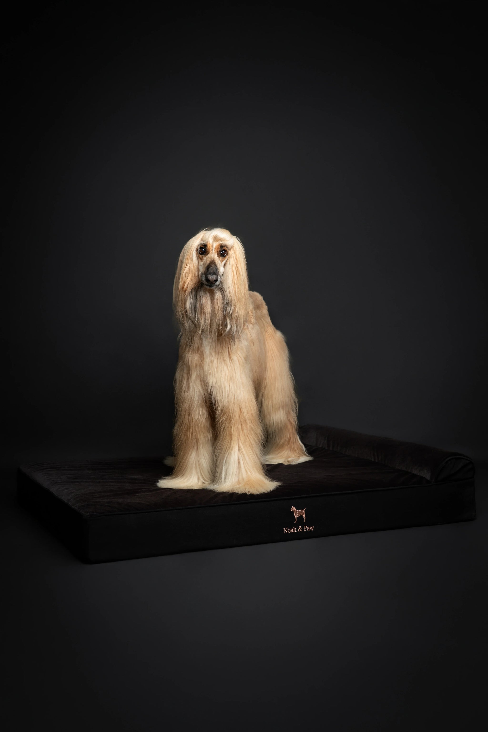 Denim Orthopedic Pet Bed, Memory Foam, Infused with Cooling Gel - Classic