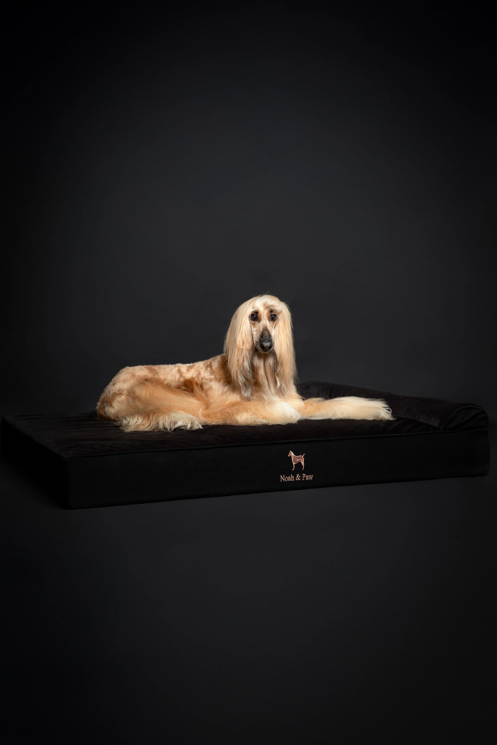 Denim Orthopedic Pet Bed, Memory Foam, Infused with Cooling Gel - Classic