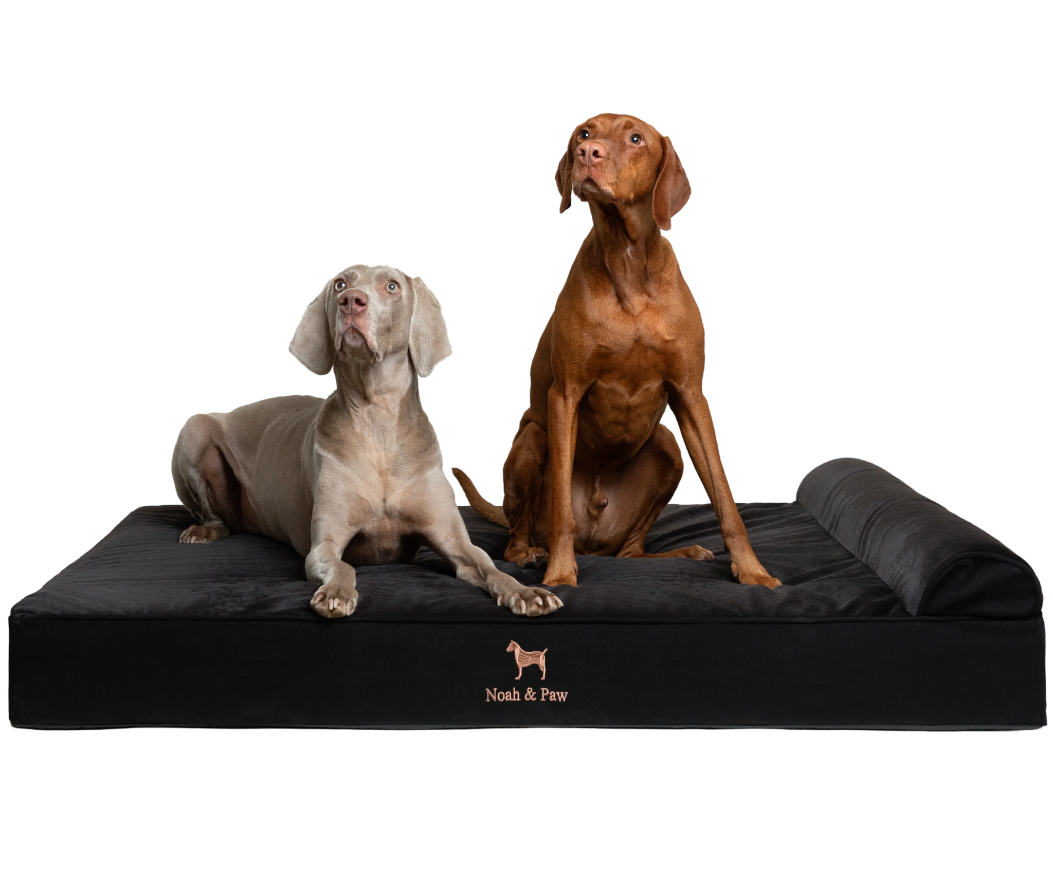 Denim, Orthopedic Pet Bed, Classic Style - Black - XXL