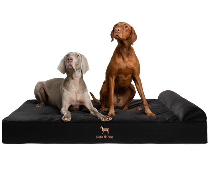 Denim, Orthopedic Pet Bed, Classic Style - Black - XXL