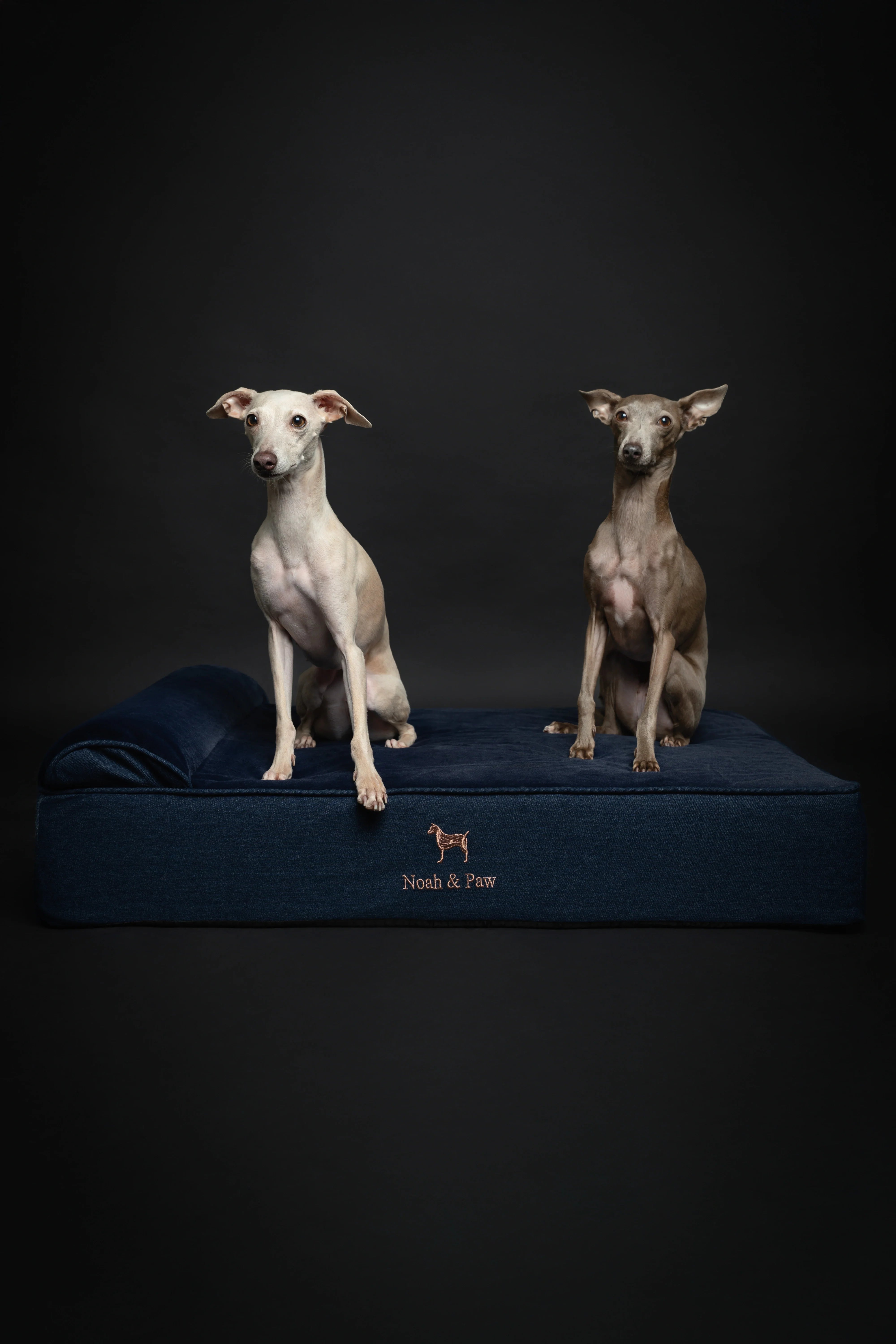 Denim Orthopedic Pet Bed, Memory Foam, Infused with Cooling Gel - Classic