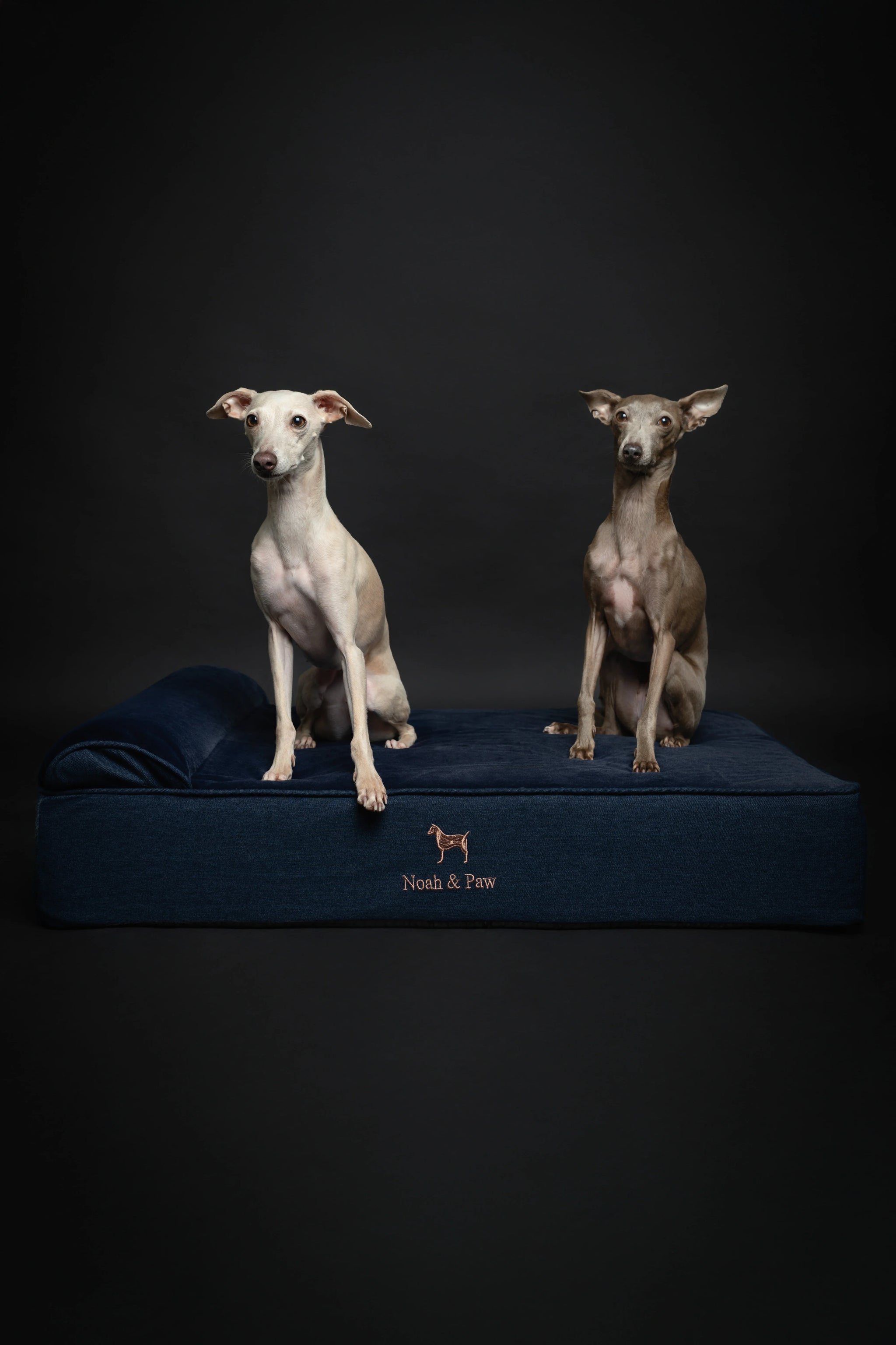 Denim Orthopedic Pet Bed, Memory Foam, Infused with Cooling Gel - Classic