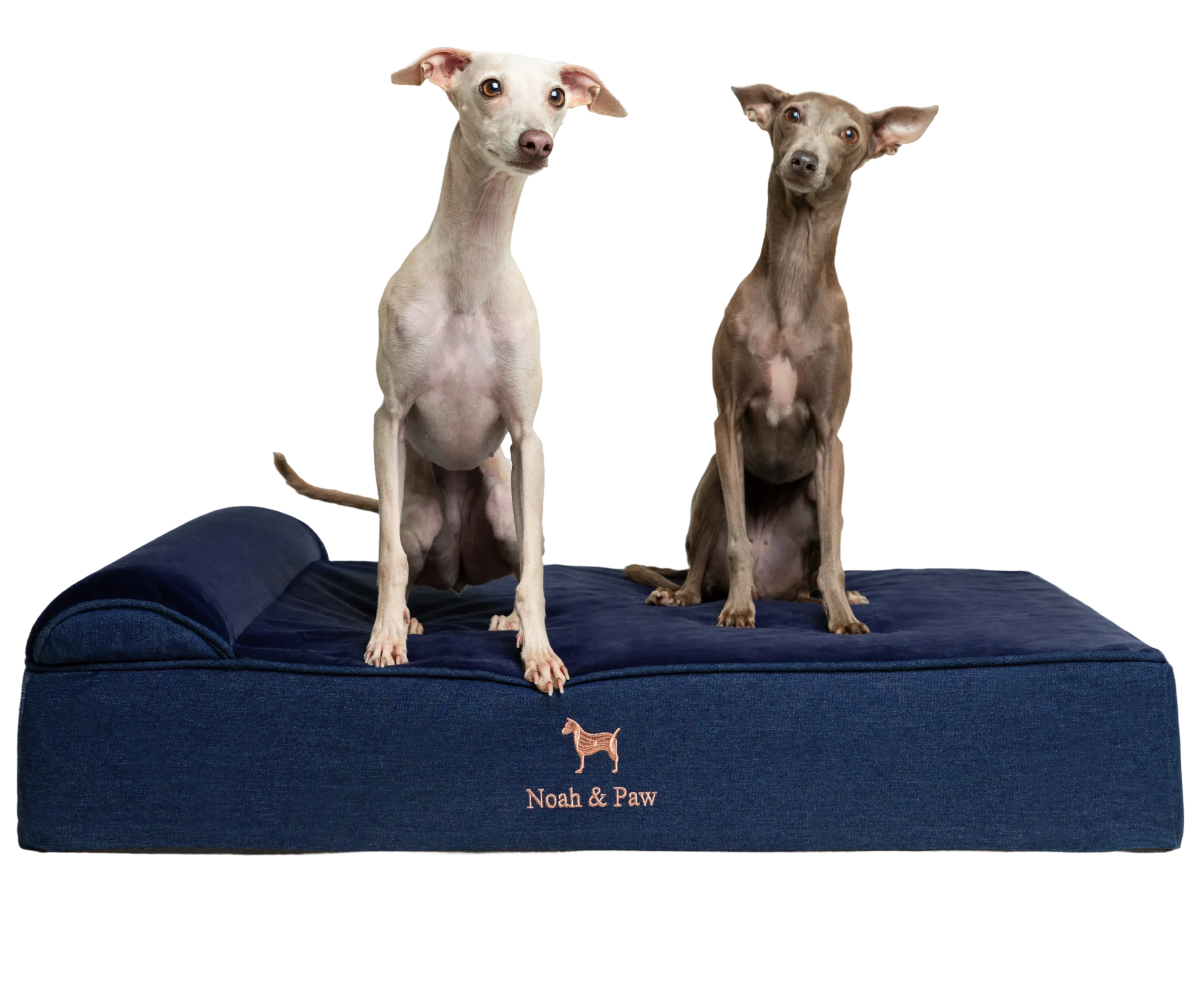 Denim, Orthopedic Pet Bed, Classic Style - Dark Blue - L