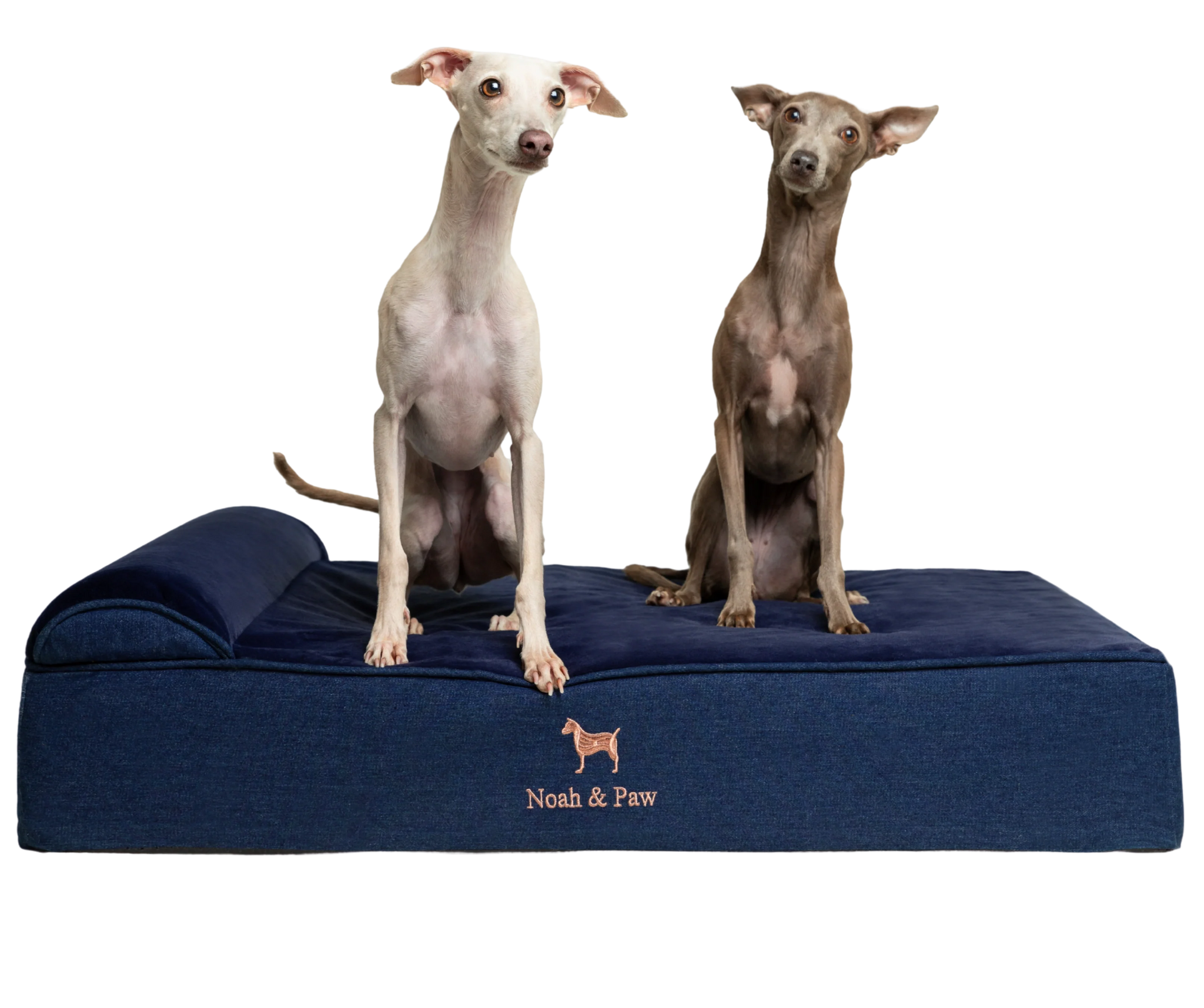 Denim, Orthopedic Pet Bed, Classic Style - Dark Blue - L