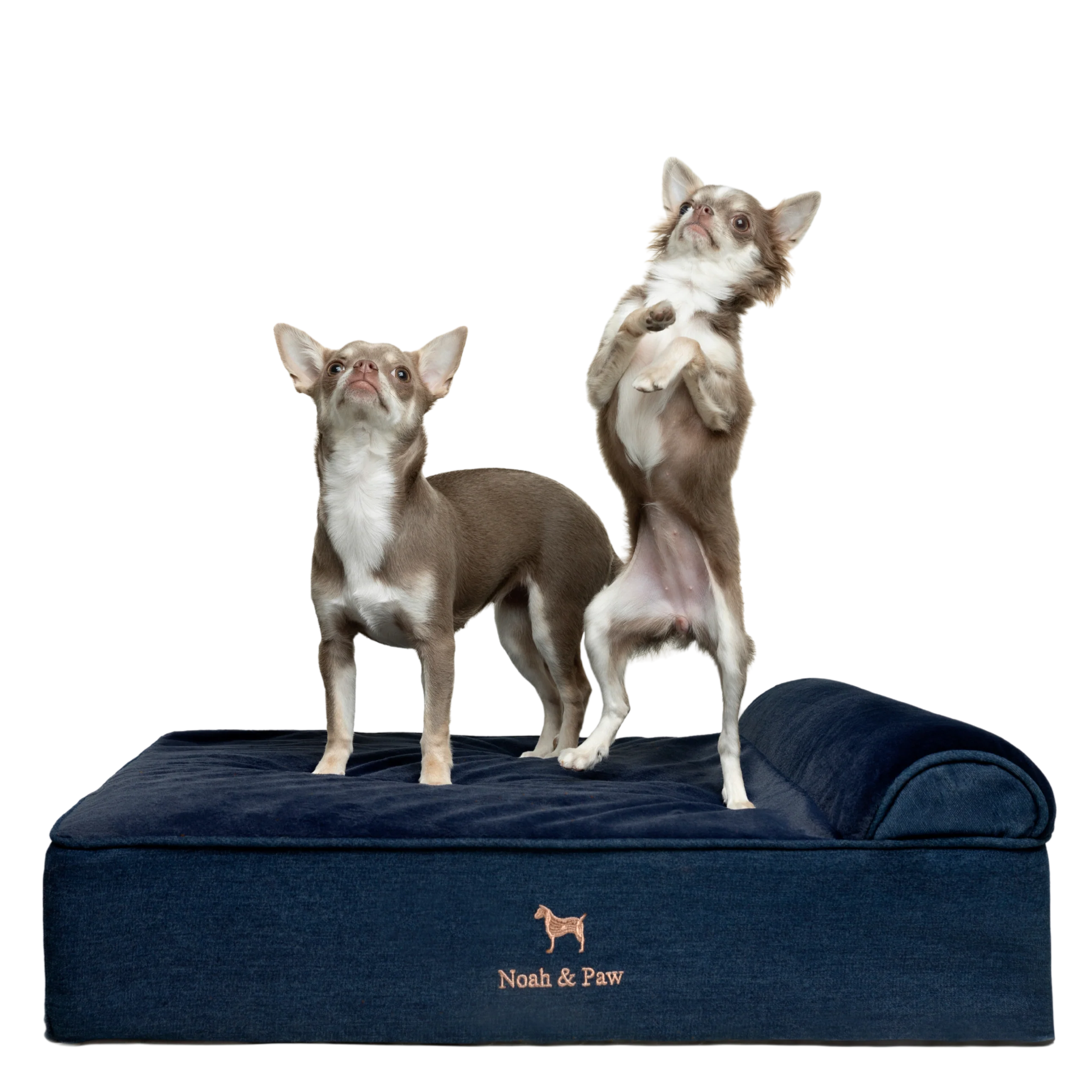 Denim, Orthopedic Pet Bed, Classic Style - Dark Blue - M