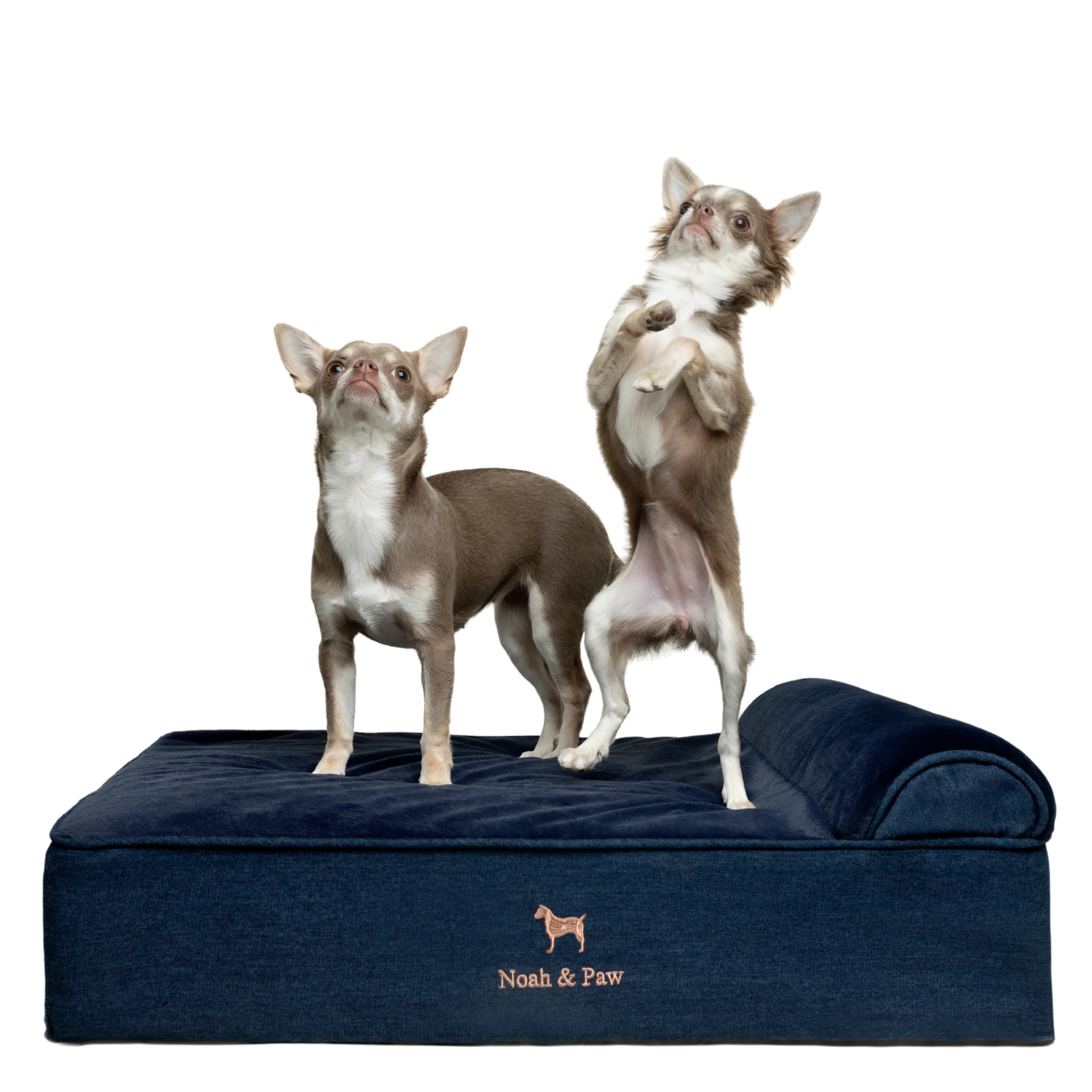 Denim, Orthopedic Pet Bed, Classic Style - Dark Blue - M