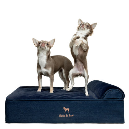 Denim, Orthopedic Pet Bed, Classic Style - Dark Blue - M
