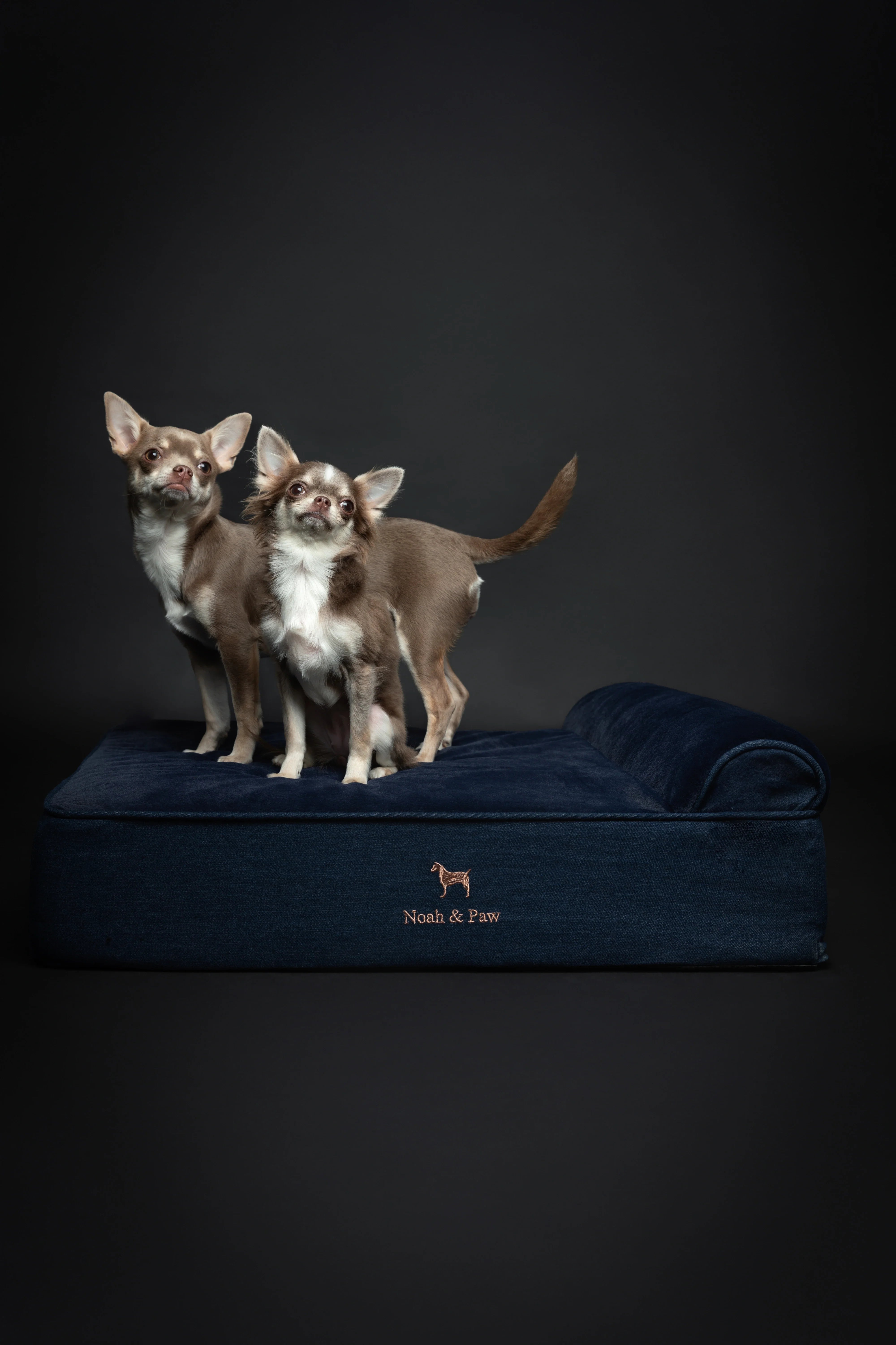 Denim Orthopedic Pet Bed, Memory Foam, Infused with Cooling Gel - Classic
