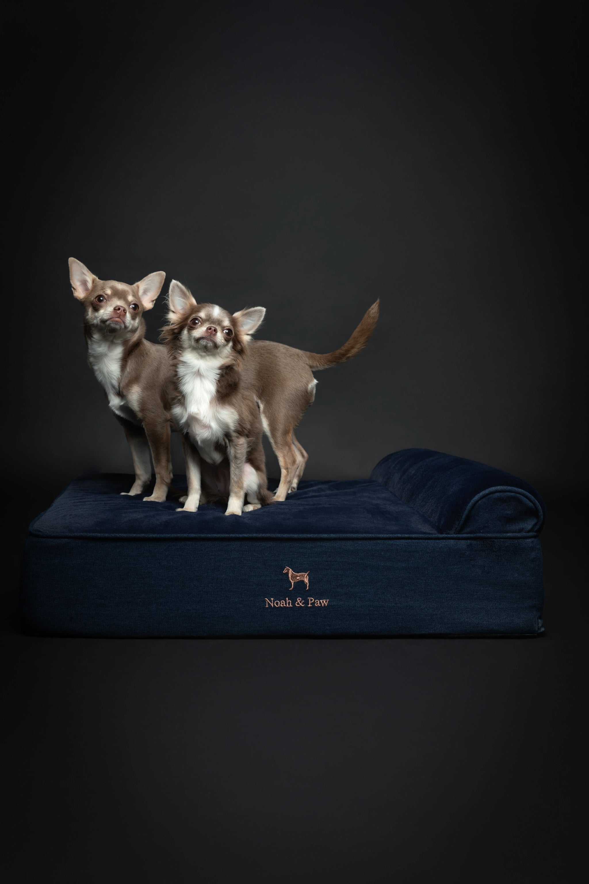 Denim Orthopedic Pet Bed, Memory Foam, Infused with Cooling Gel - Classic