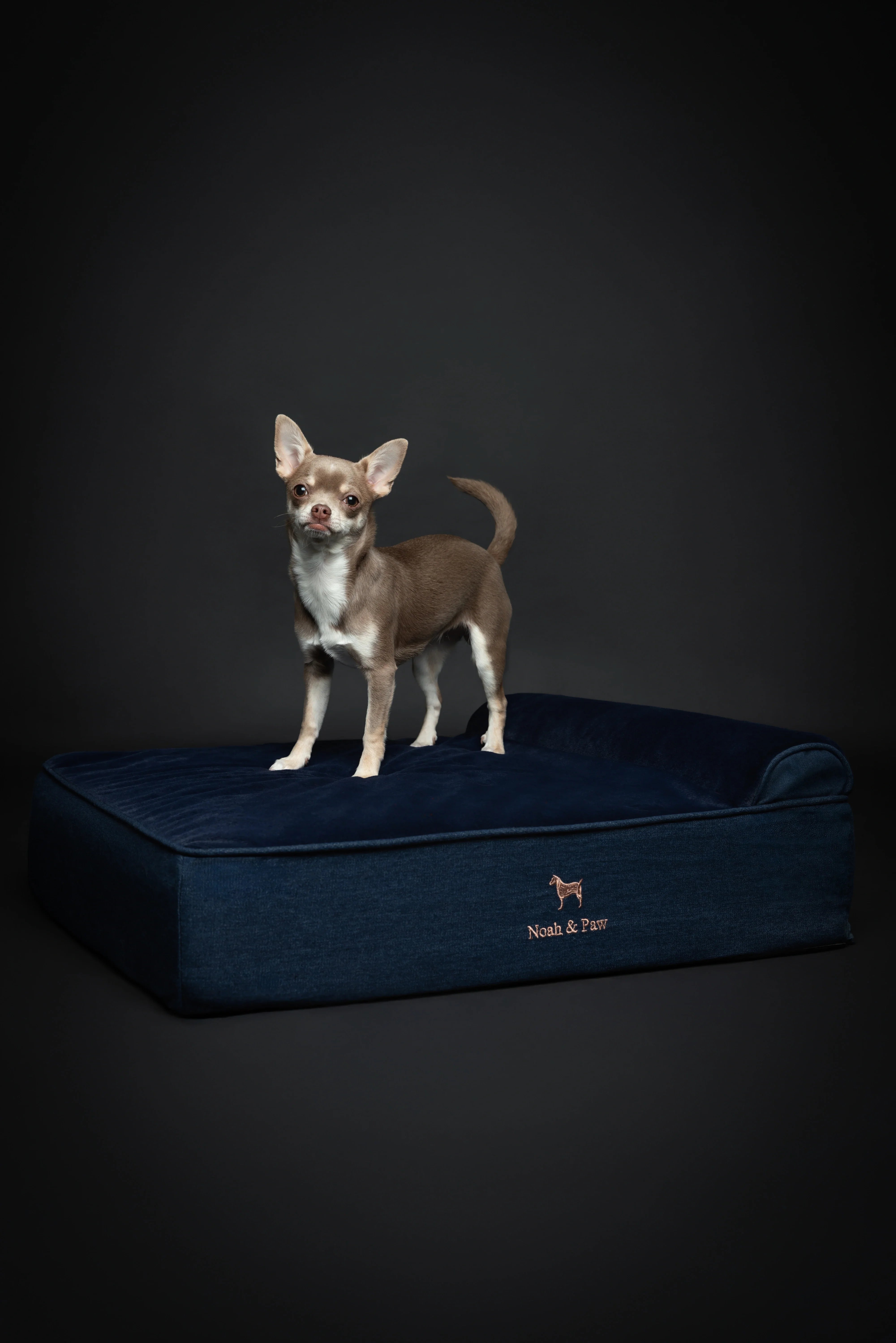 Denim Orthopedic Pet Bed, Memory Foam, Infused with Cooling Gel - Classic