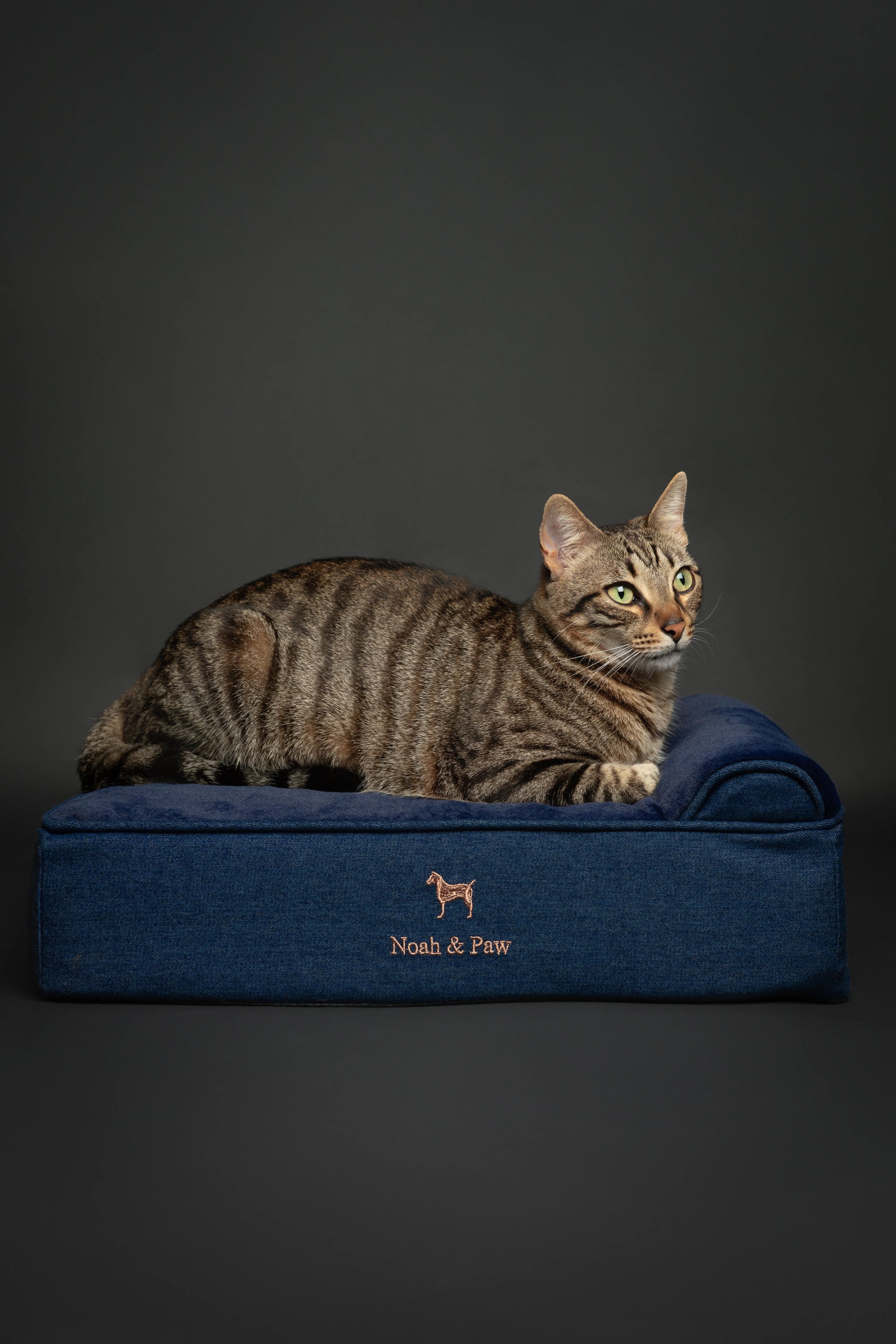 Denim Orthopedic Pet Bed, Memory Foam, Infused with Cooling Gel - Classic