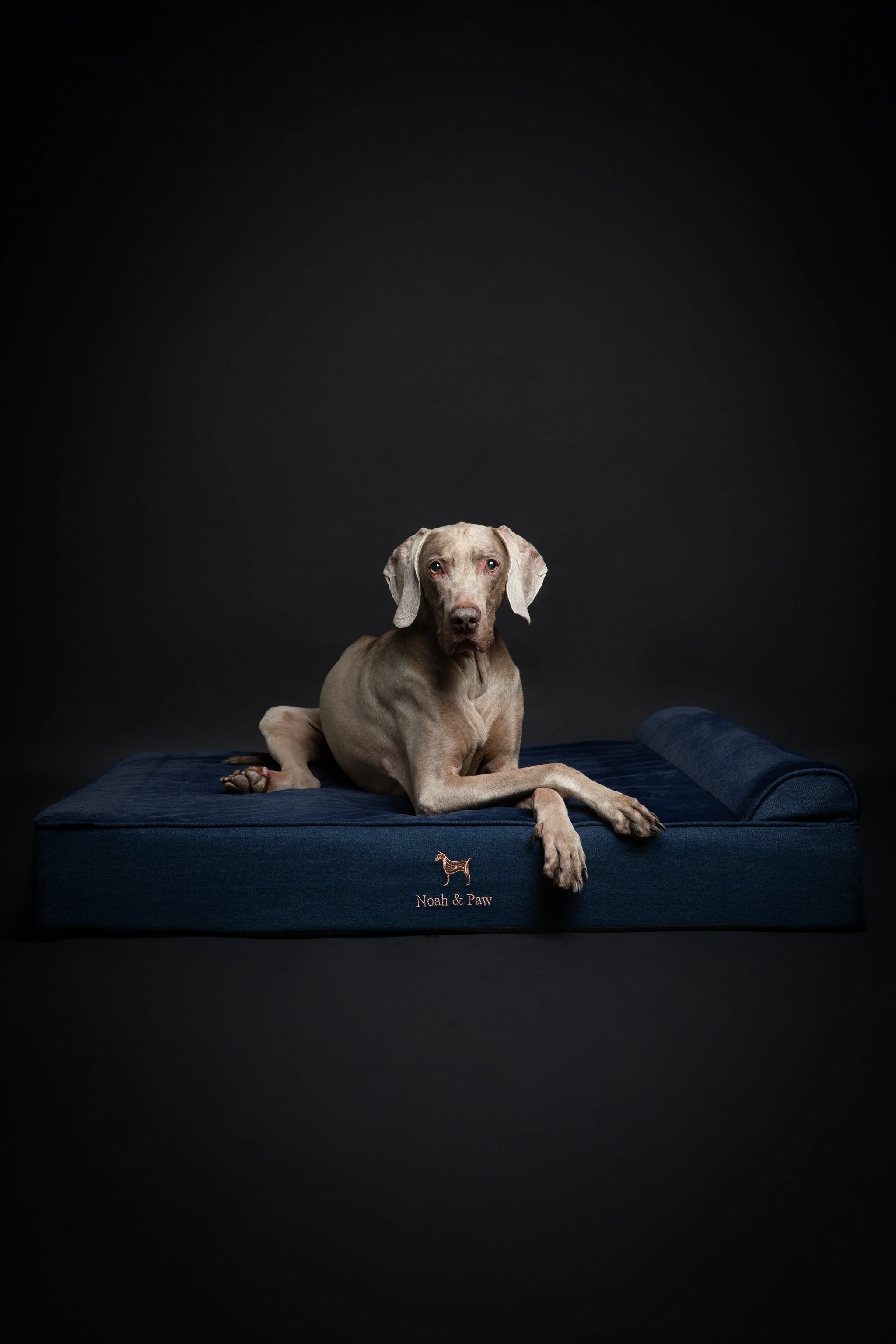 Denim Orthopedic Pet Bed, Memory Foam, Infused with Cooling Gel - Classic