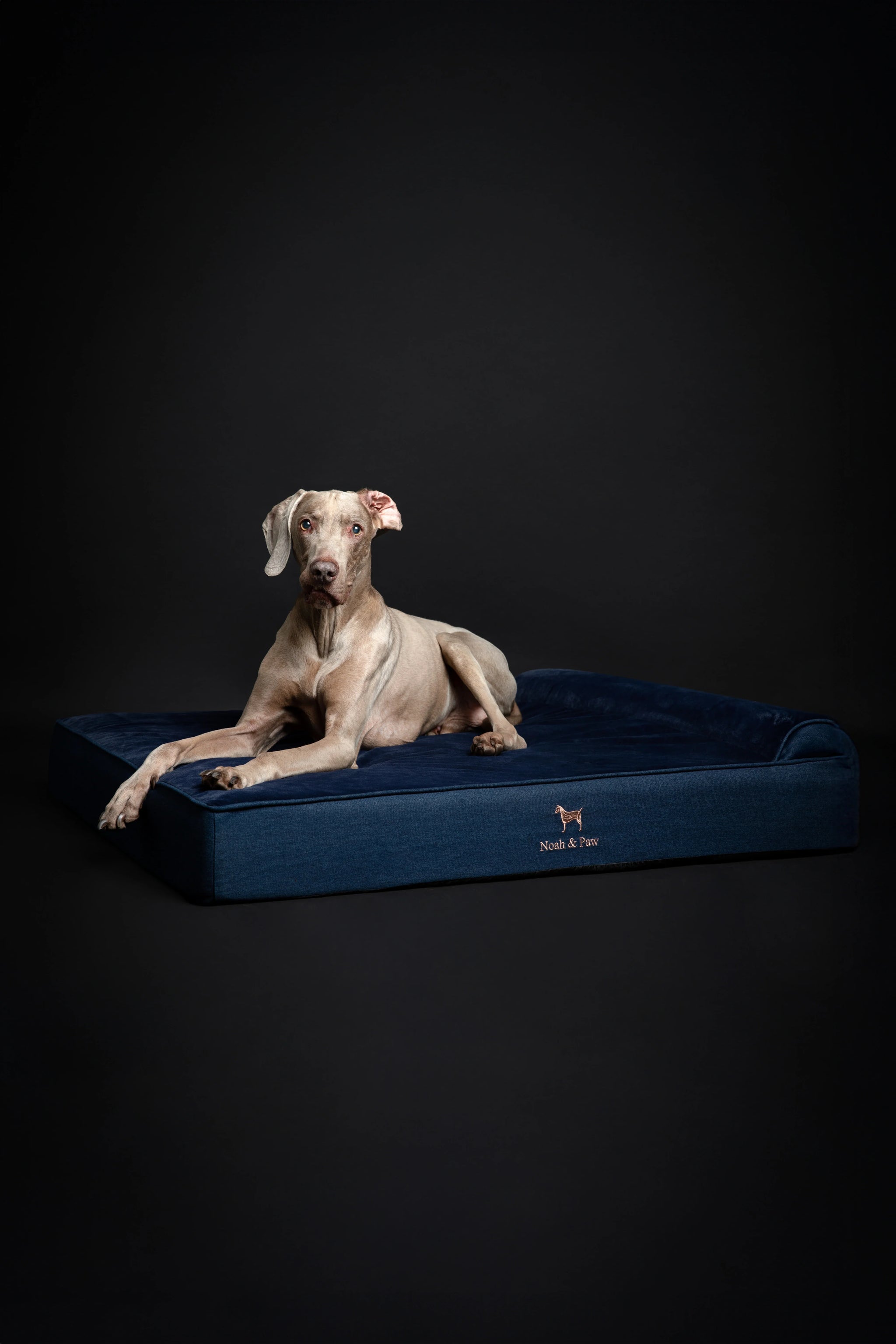 Denim Orthopedic Pet Bed, Memory Foam, Infused with Cooling Gel - Classic