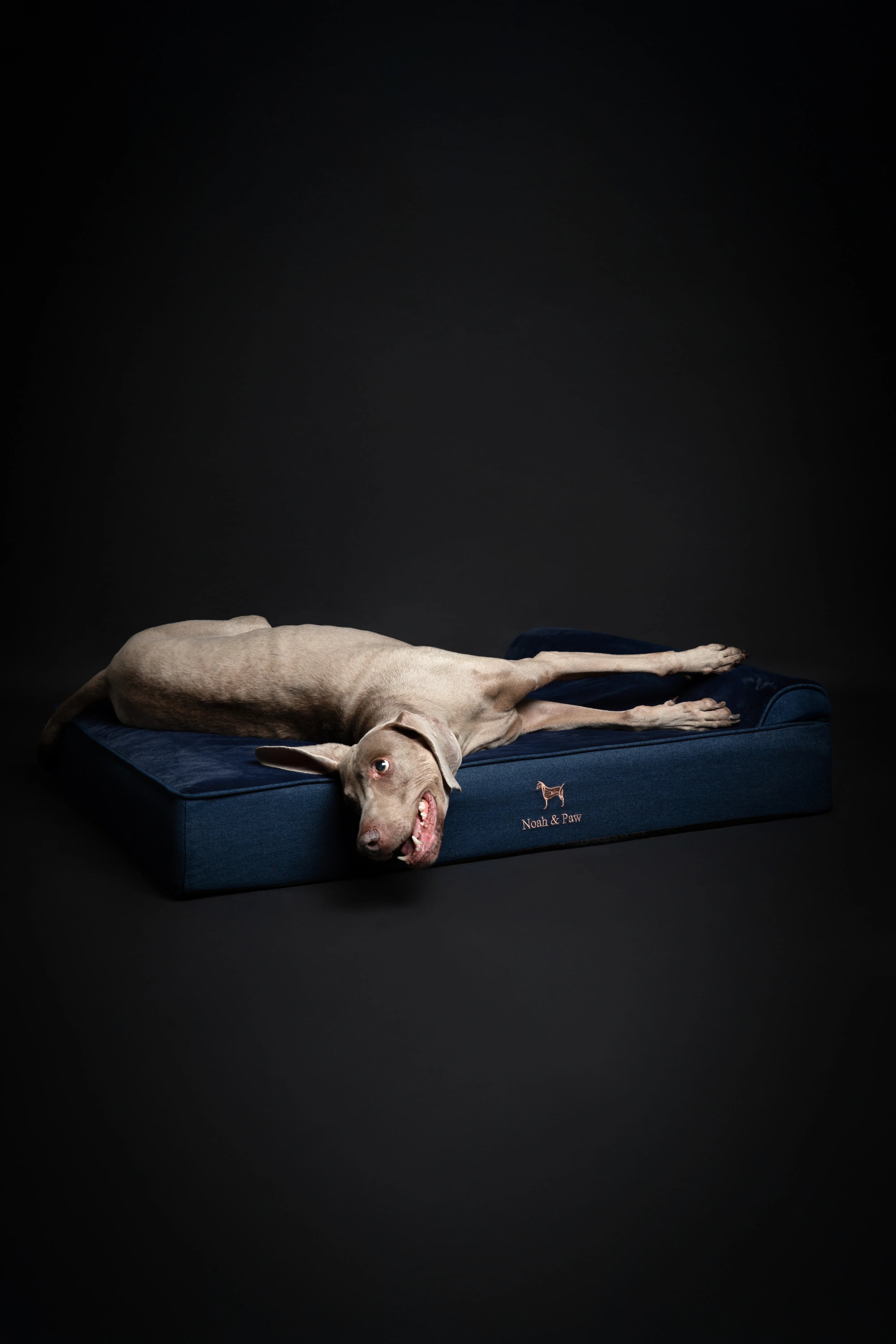Denim Orthopedic Pet Bed, Memory Foam, Infused with Cooling Gel - Classic