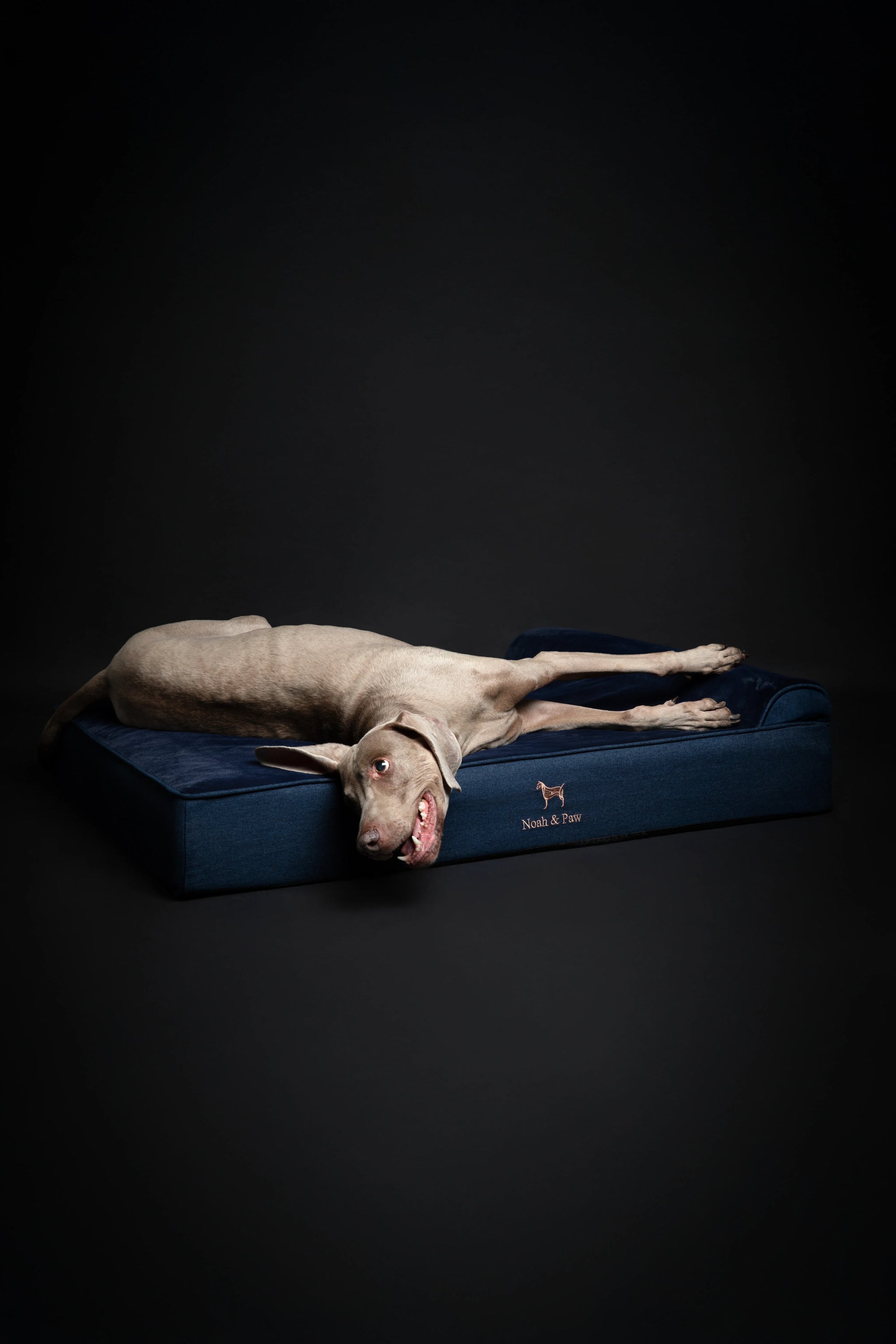 Denim Orthopedic Pet Bed, Memory Foam, Infused with Cooling Gel - Classic