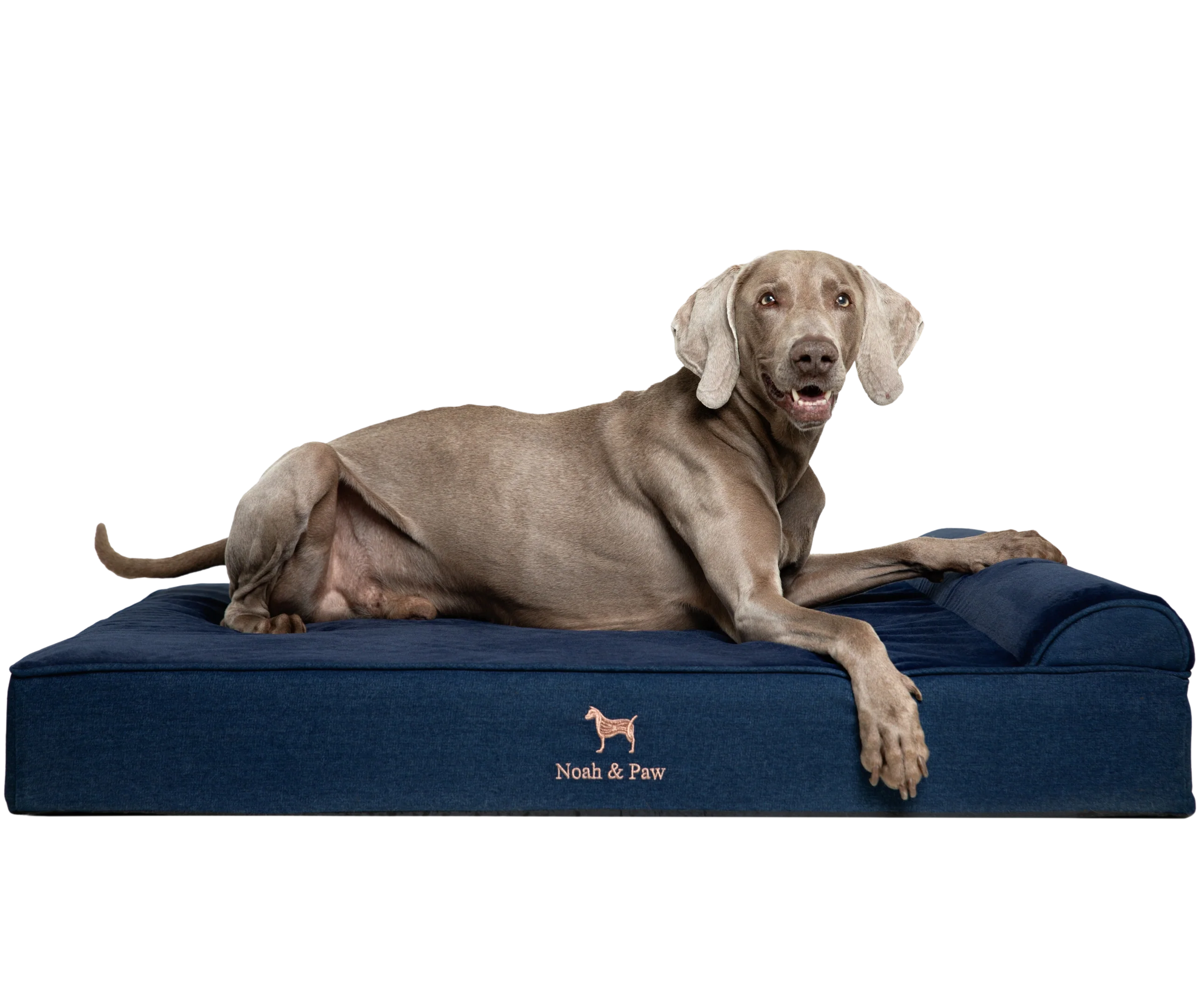 Denim, Orthopedic Pet Bed, Classic Style - Dark Blue - XL