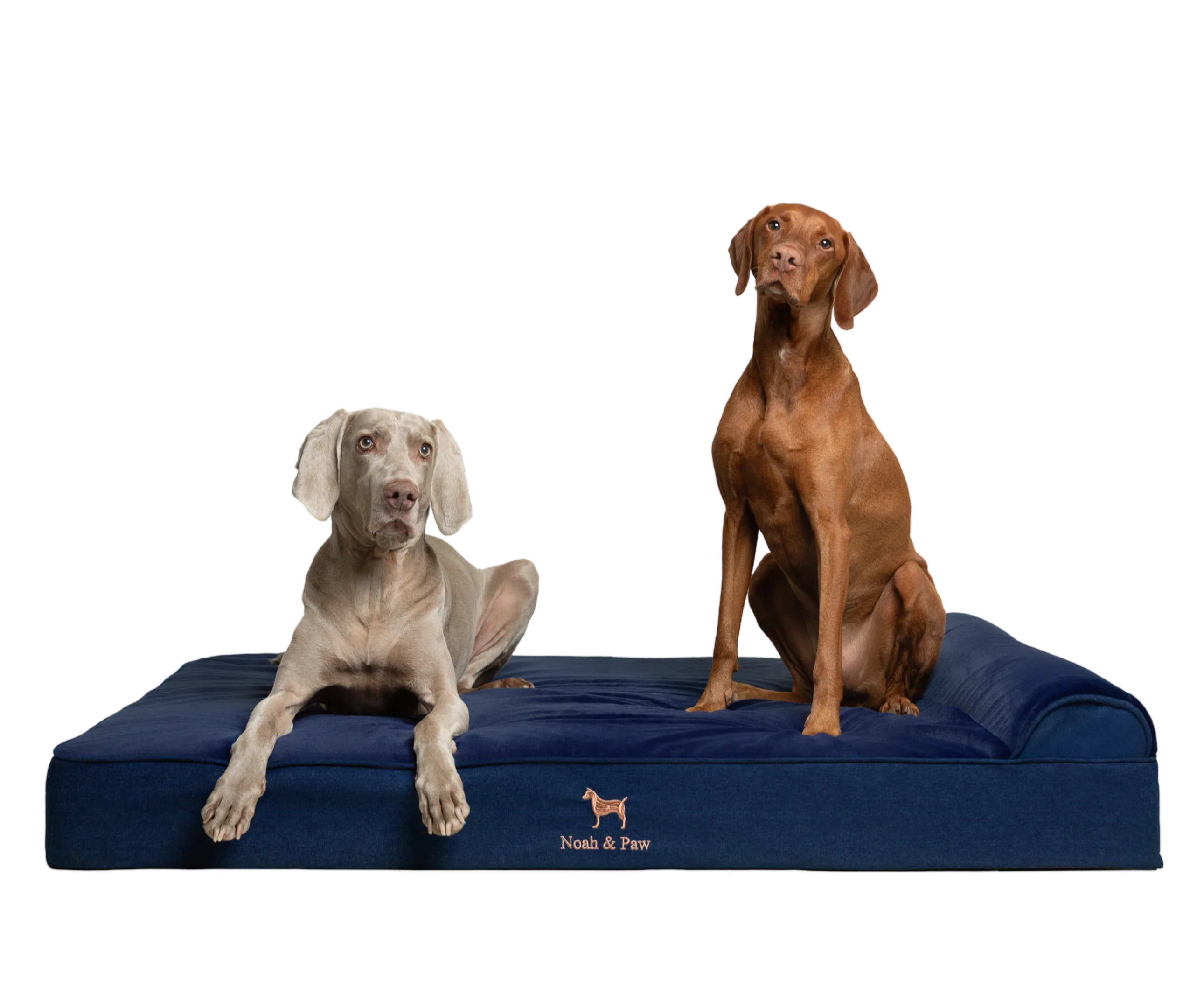 Denim, Orthopedic Pet Bed, Classic Style - Dark Blue - XXL