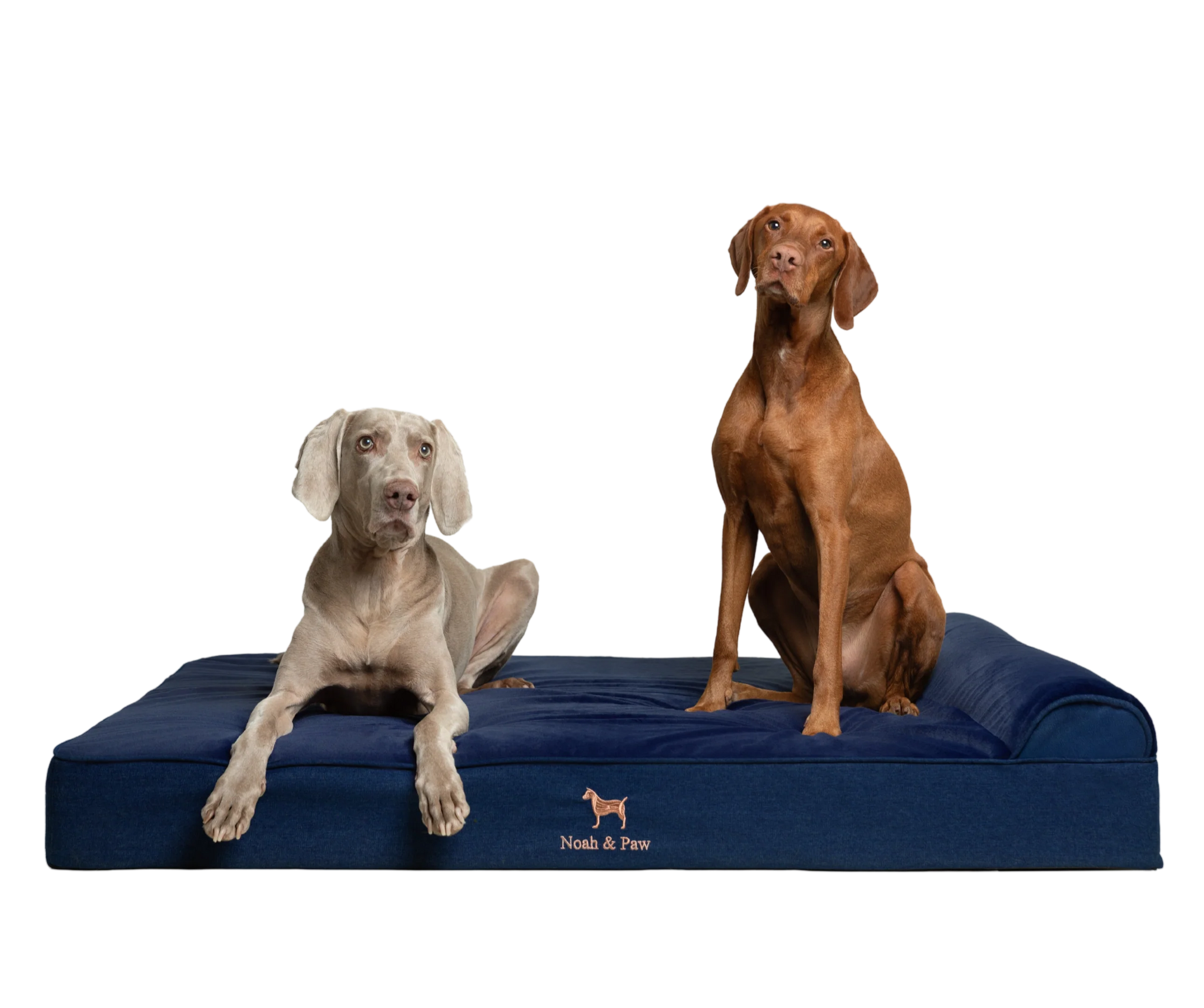 Denim, Orthopedic Pet Bed, Classic Style - Dark Blue - XXL